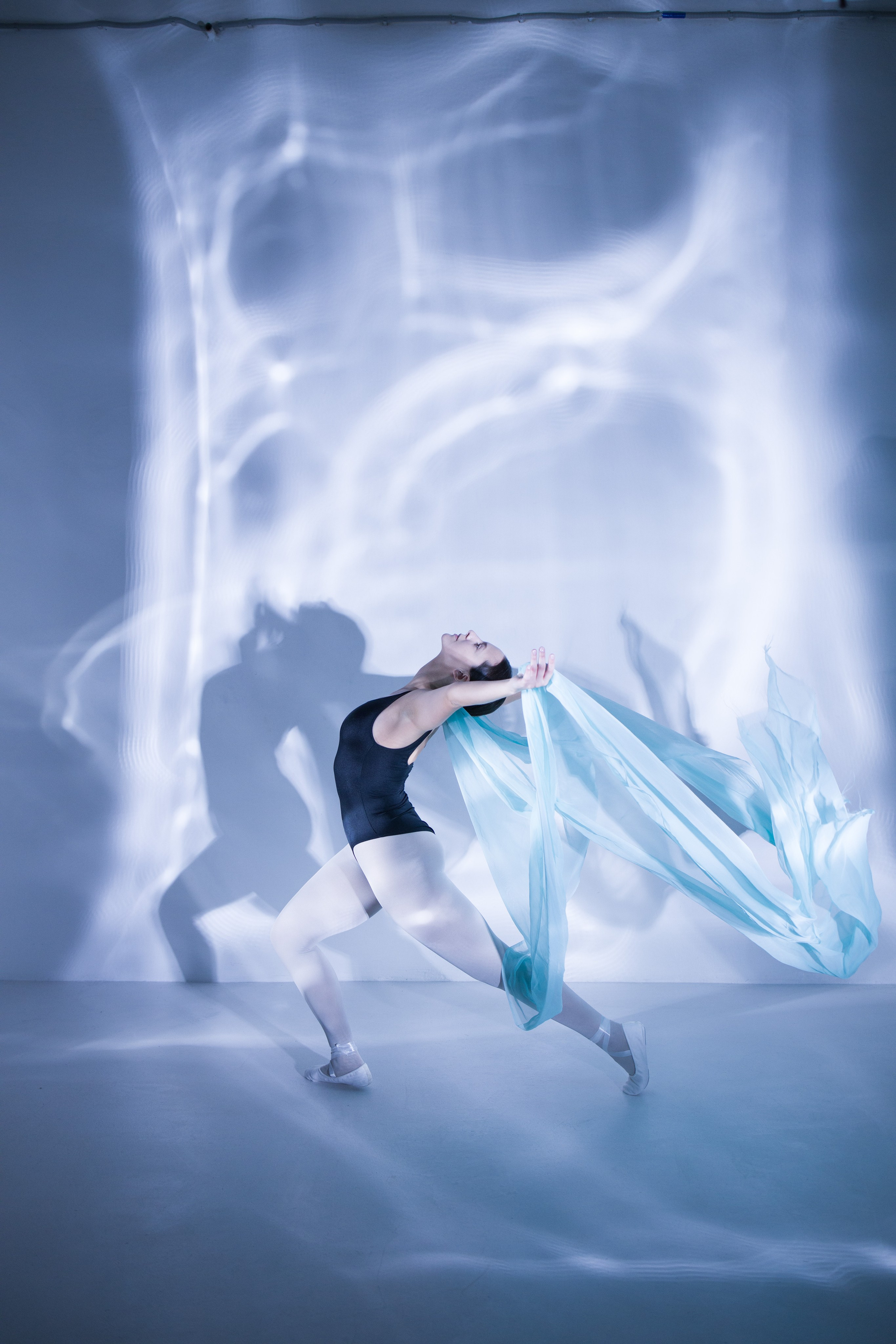 Лилия. Художественная фотография