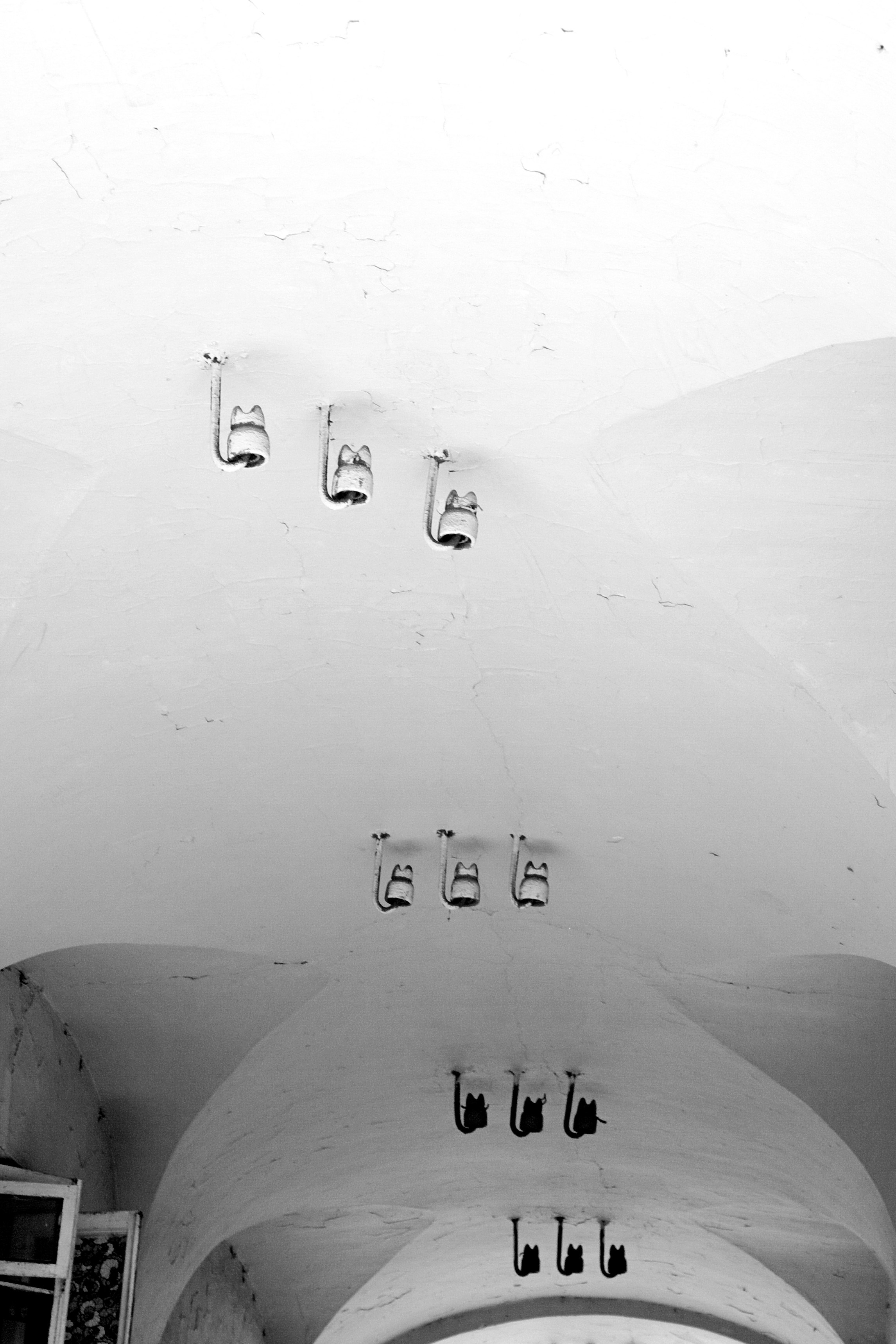 Черно-белое. Миша Печёнкин | фотография