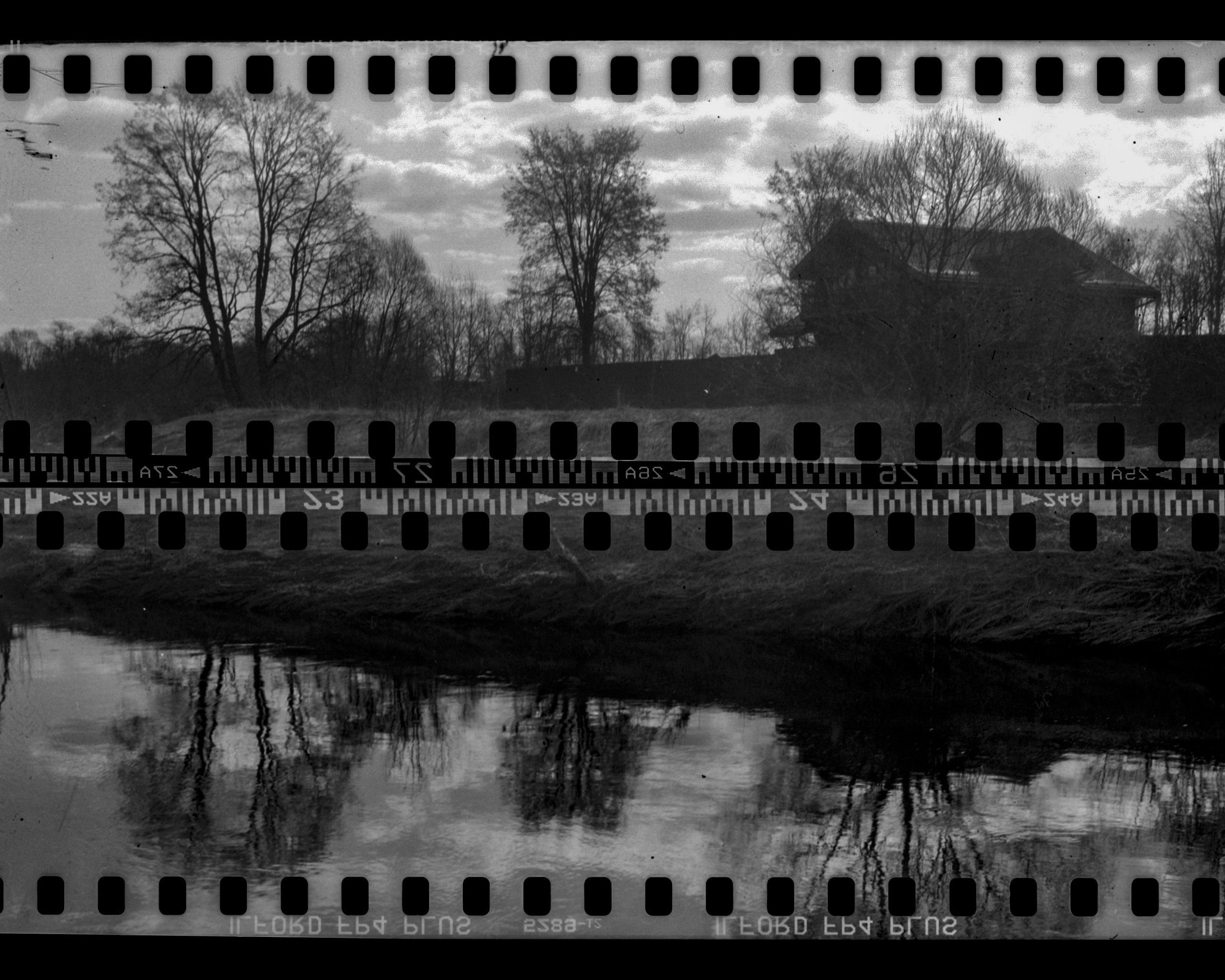 Ilford FP4