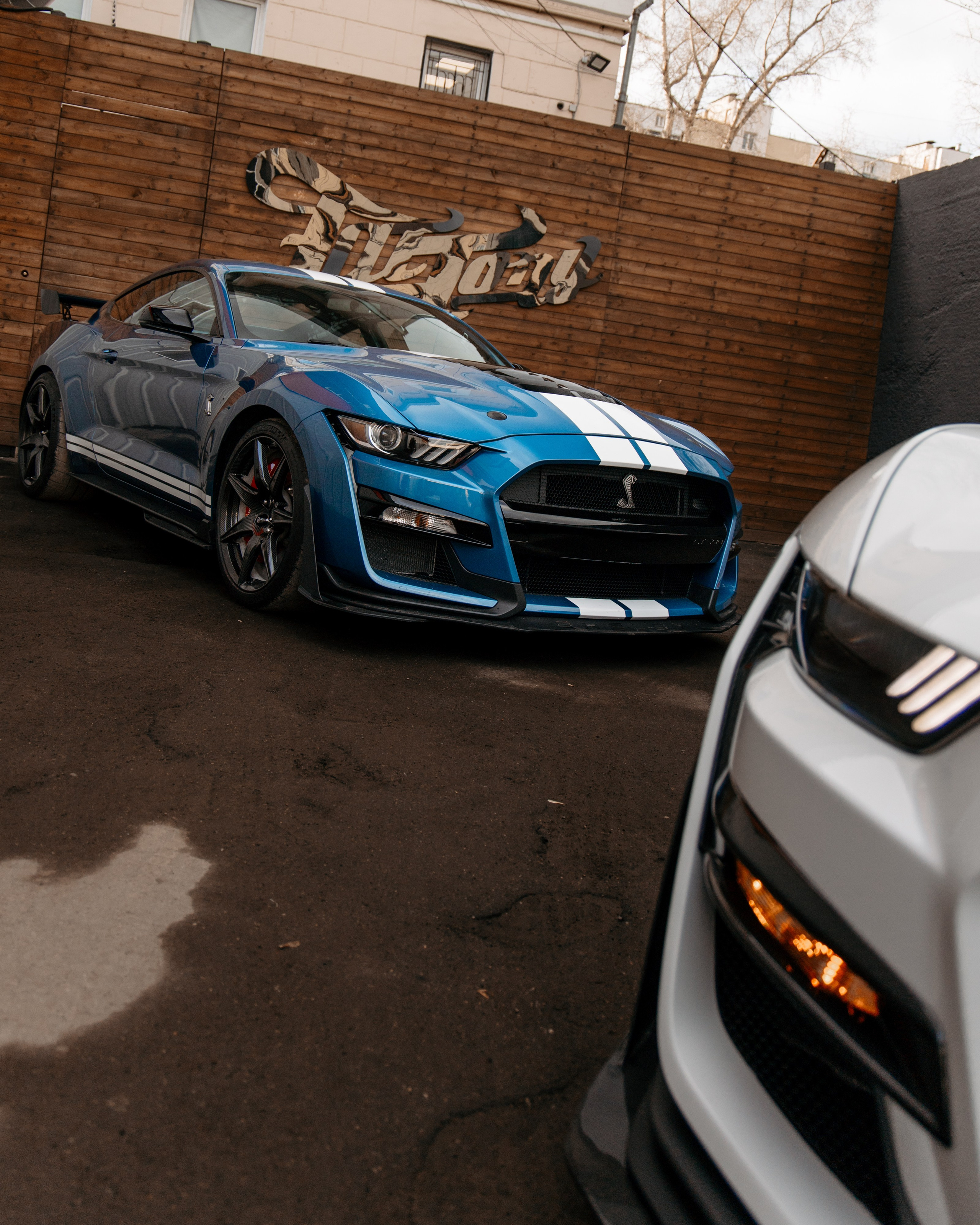 Mustang Shelby GT500 X2. DeLorein