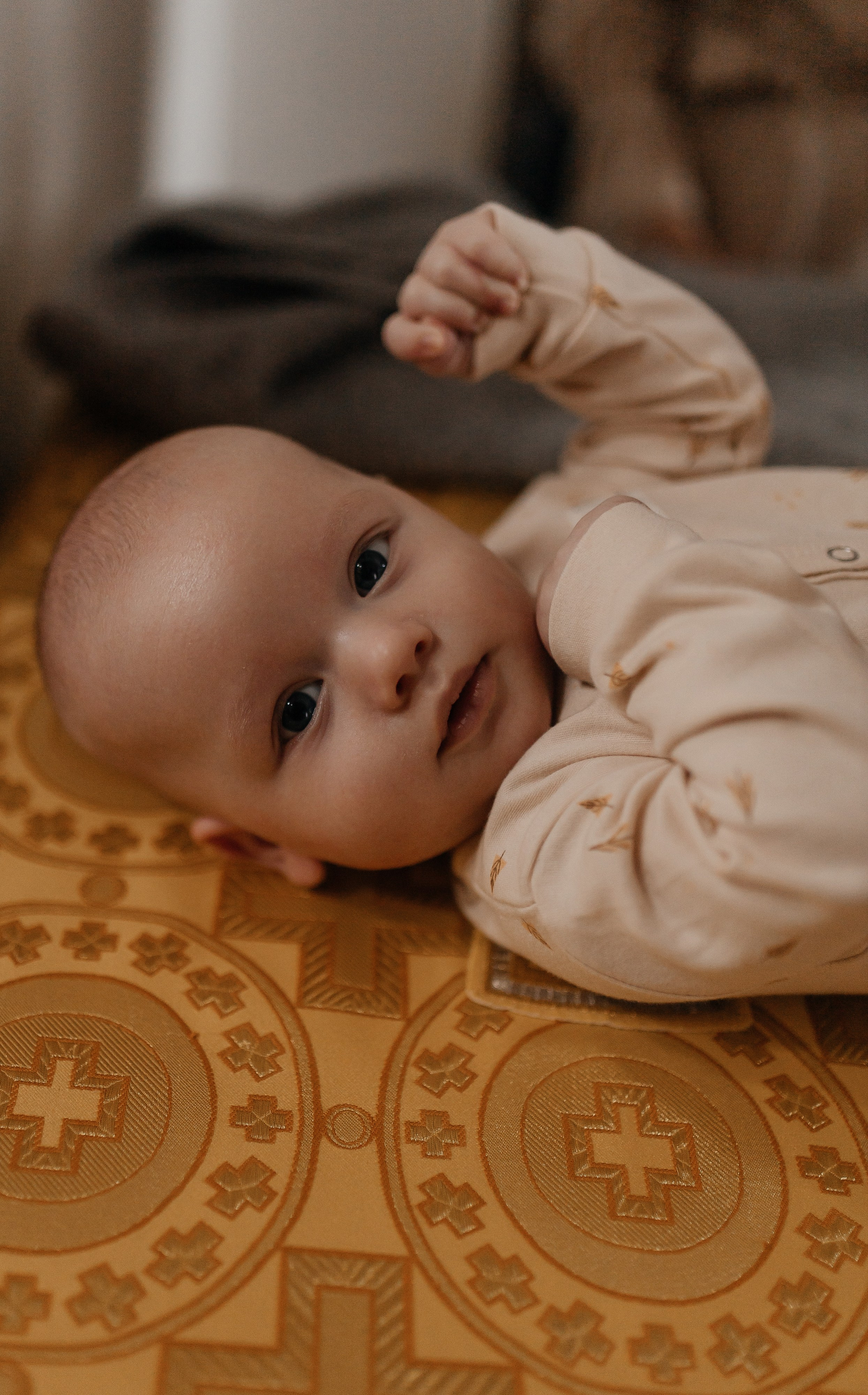 Тимофей. Семейный фотограф Губкин/Старый Оскол