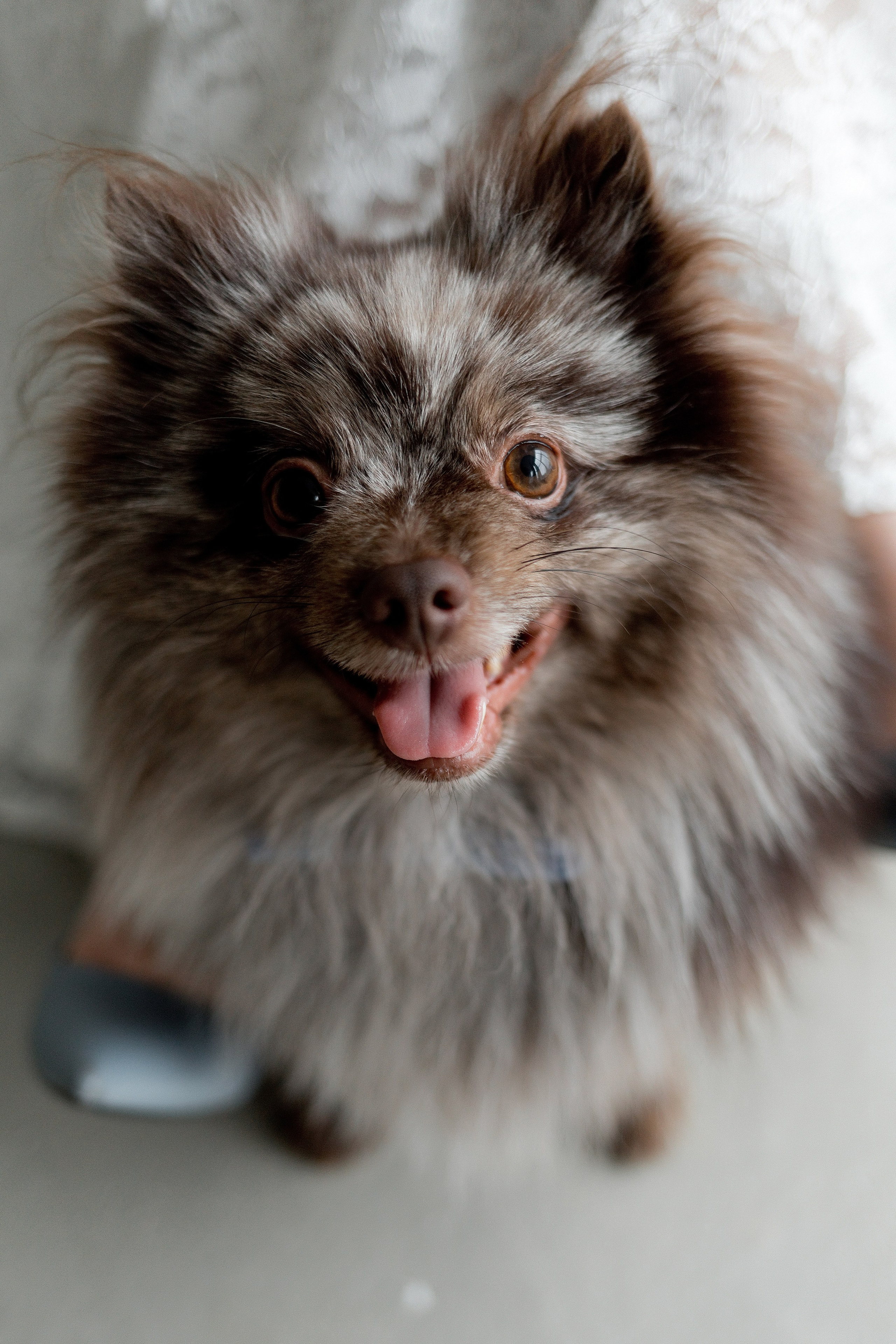 Отзывы. Свадебный фотограф в Пскове и Санкт-Петербурге | Анна Голикова