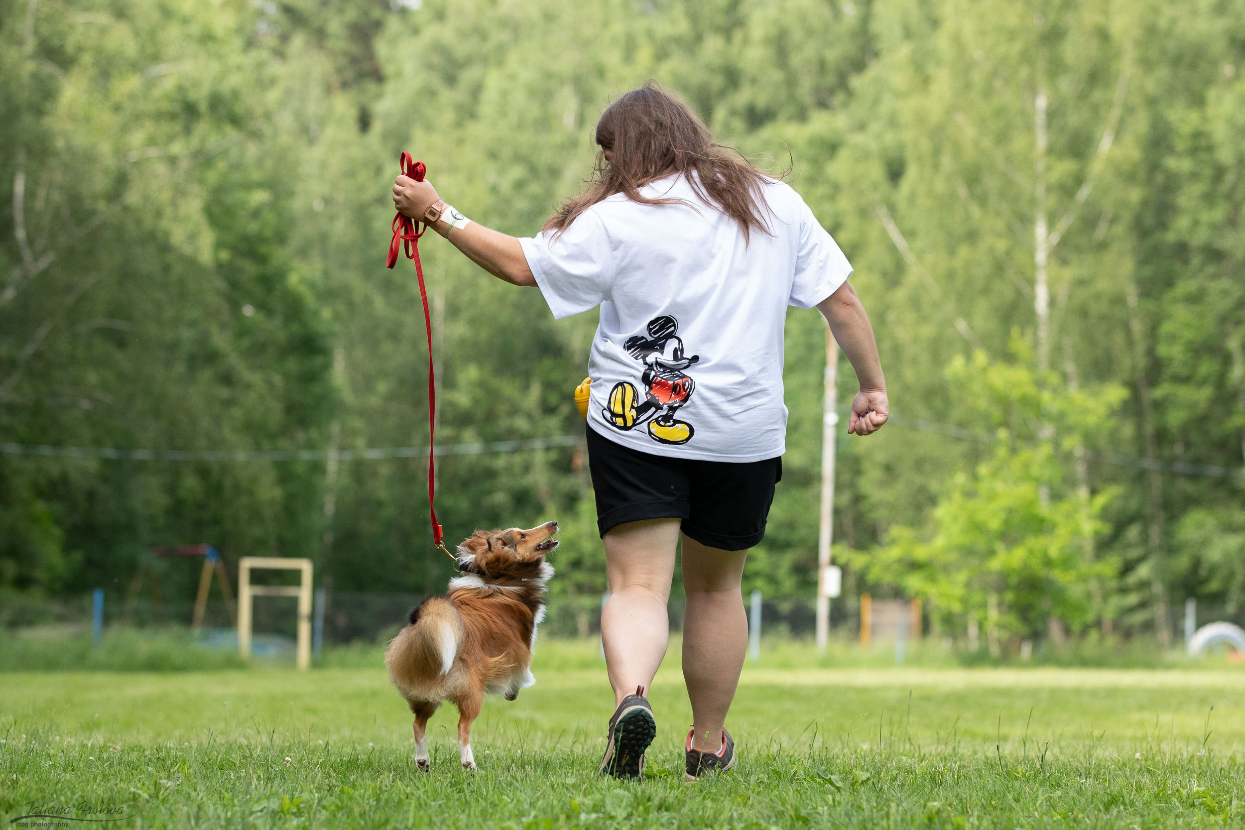 Репортаж с выводки молодняка колли/шелти в Ясенево. Фотограф-анималист в Москве и Московской области Татьяна Фролова