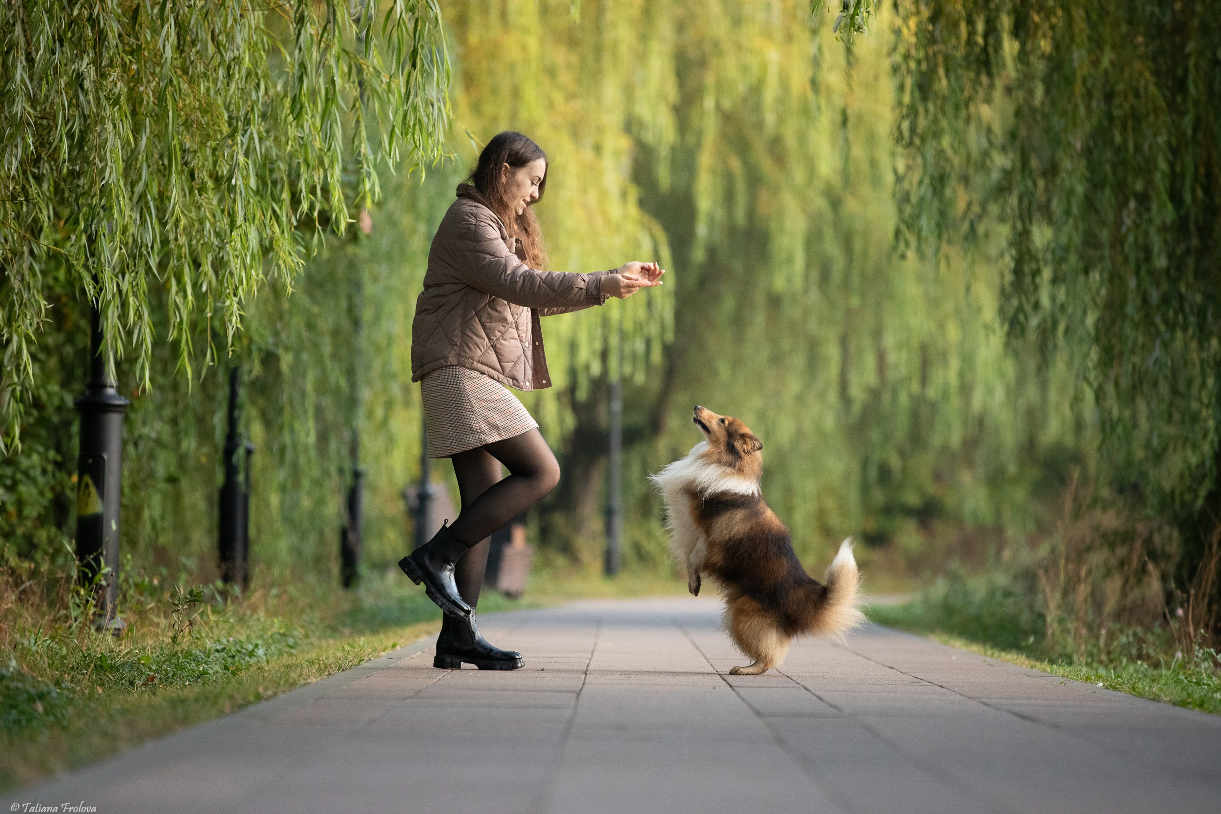 Утренняя фотопрогулка с двумя собаками по Москве. Фотограф-анималист в Москве и Московской области Татьяна Фролова
