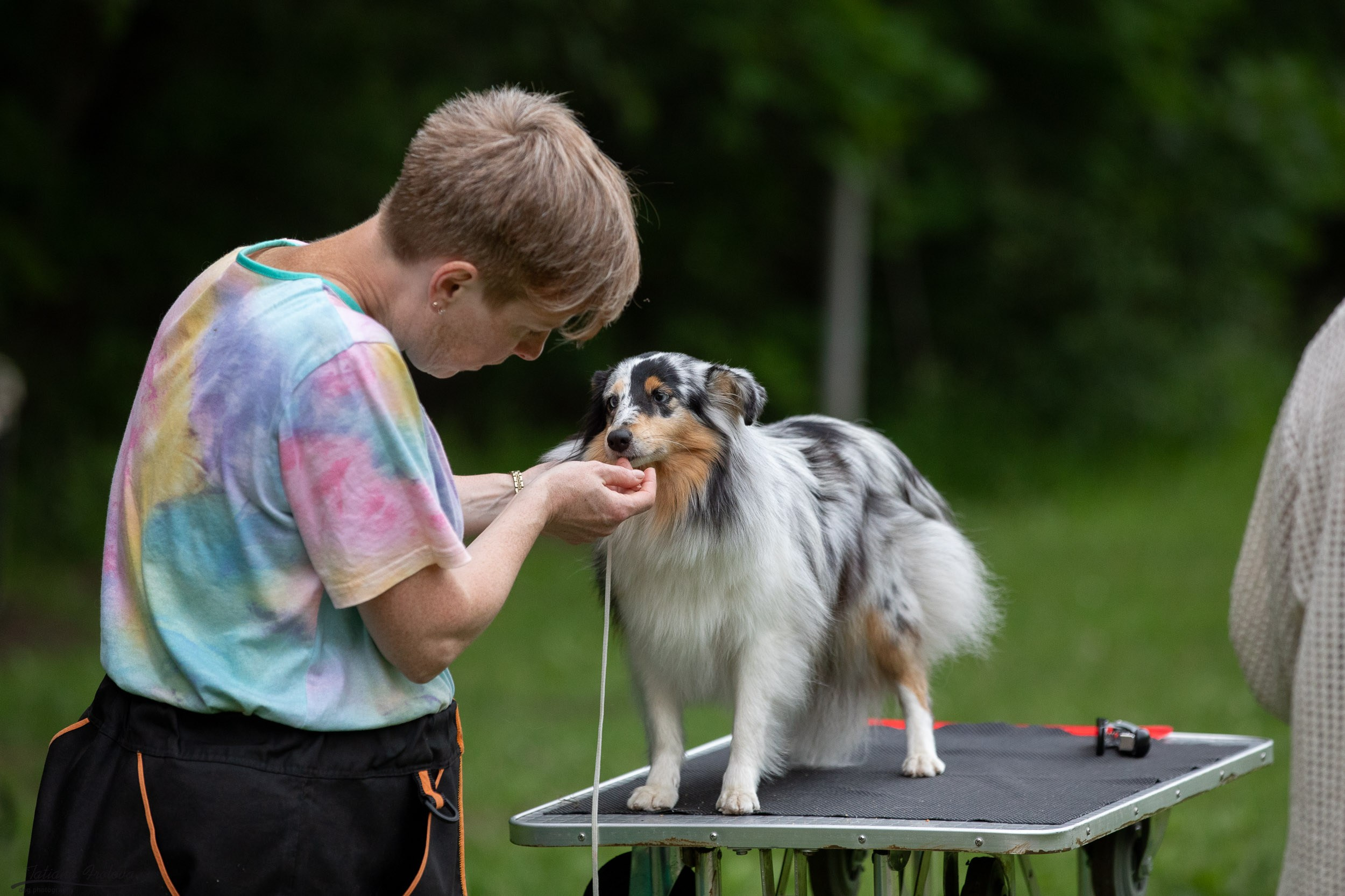 Репортаж с выводки молодняка колли/шелти в Ясенево. Фотограф-анималист в Москве и Московской области Татьяна Фролова