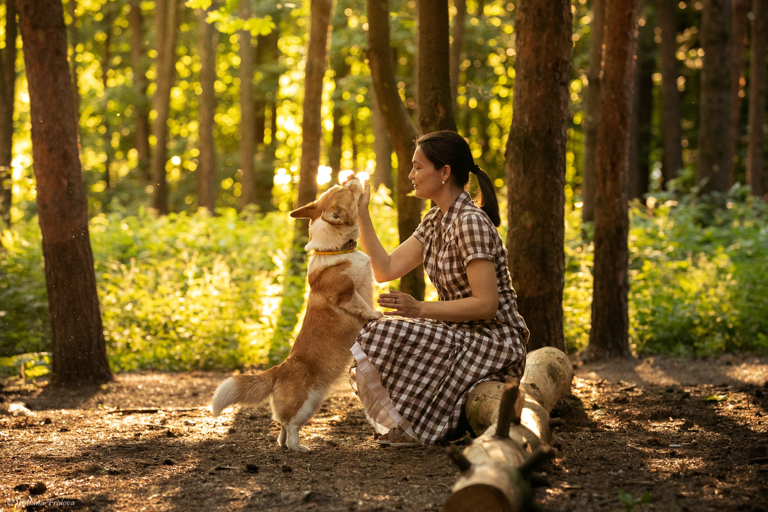 Фотографии собаки с хозяйкой в парке летним вечером. Фотограф-анималист в Москве и Московской области Татьяна Фролова