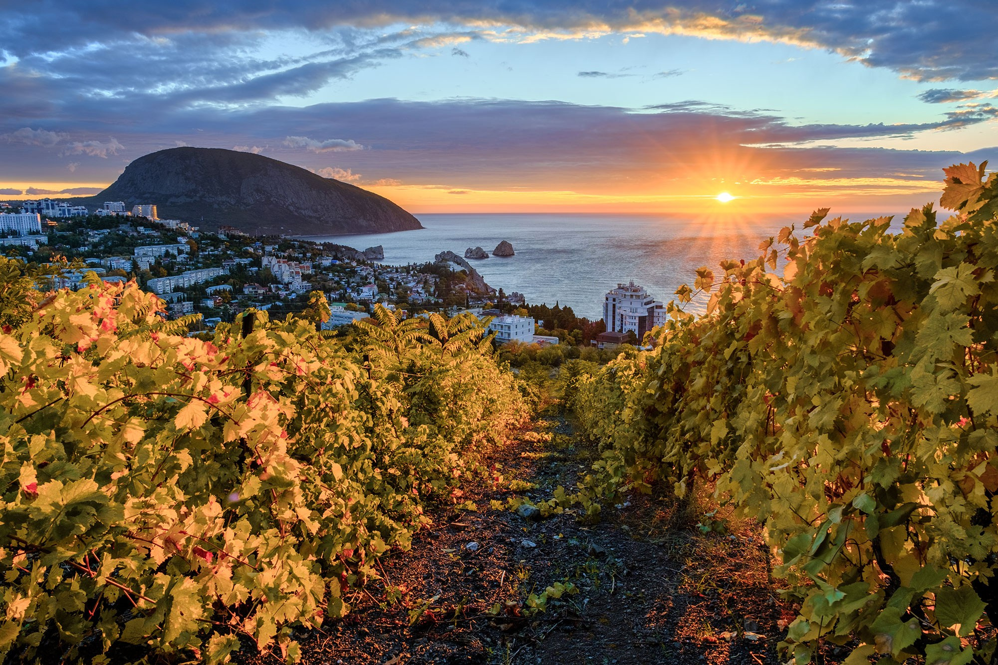 «Золотая осень в Крыму 2025»