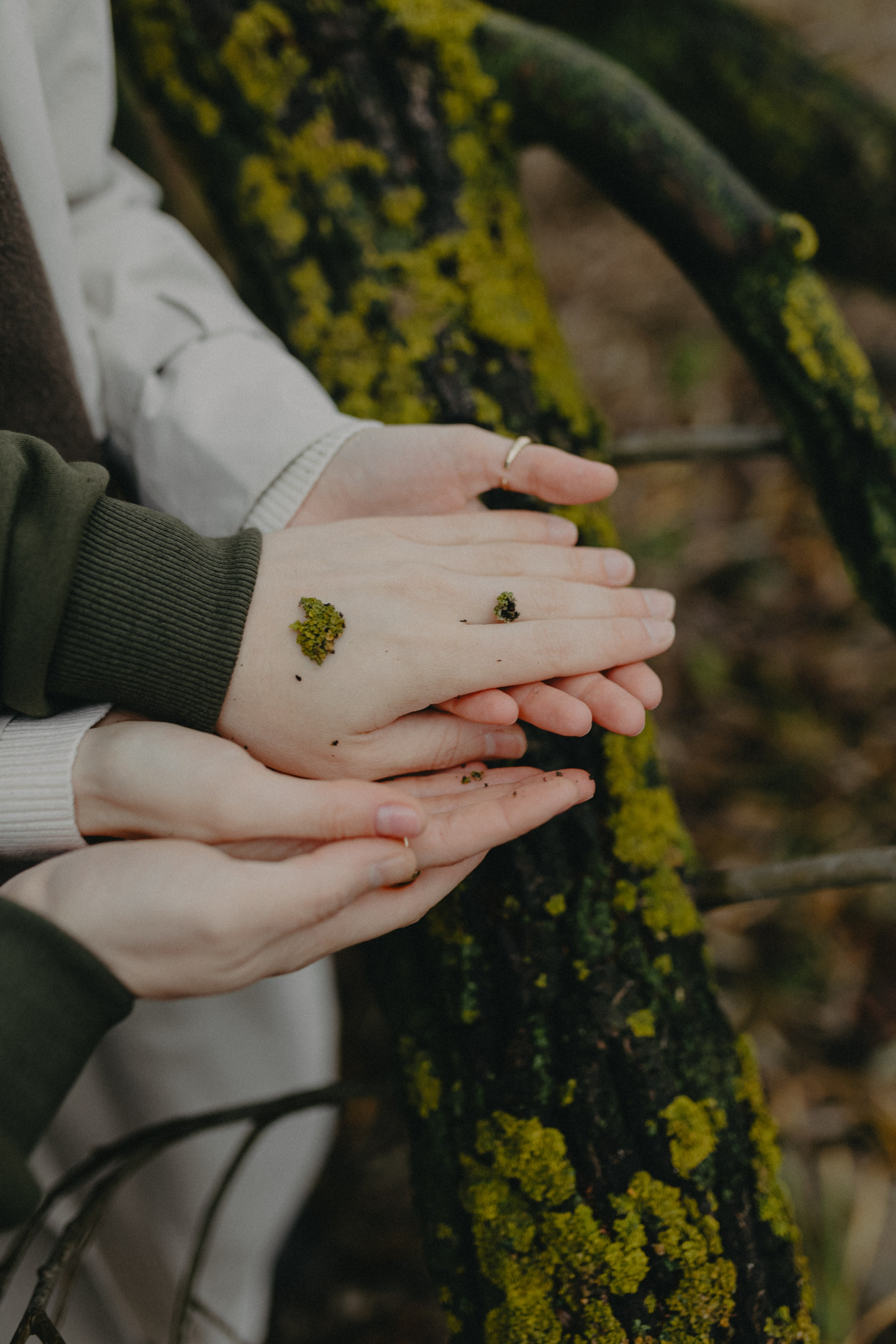 Диана и Антон. Свадебный и семейный фотограф Женя Добрянская в Нижнем Новгороде