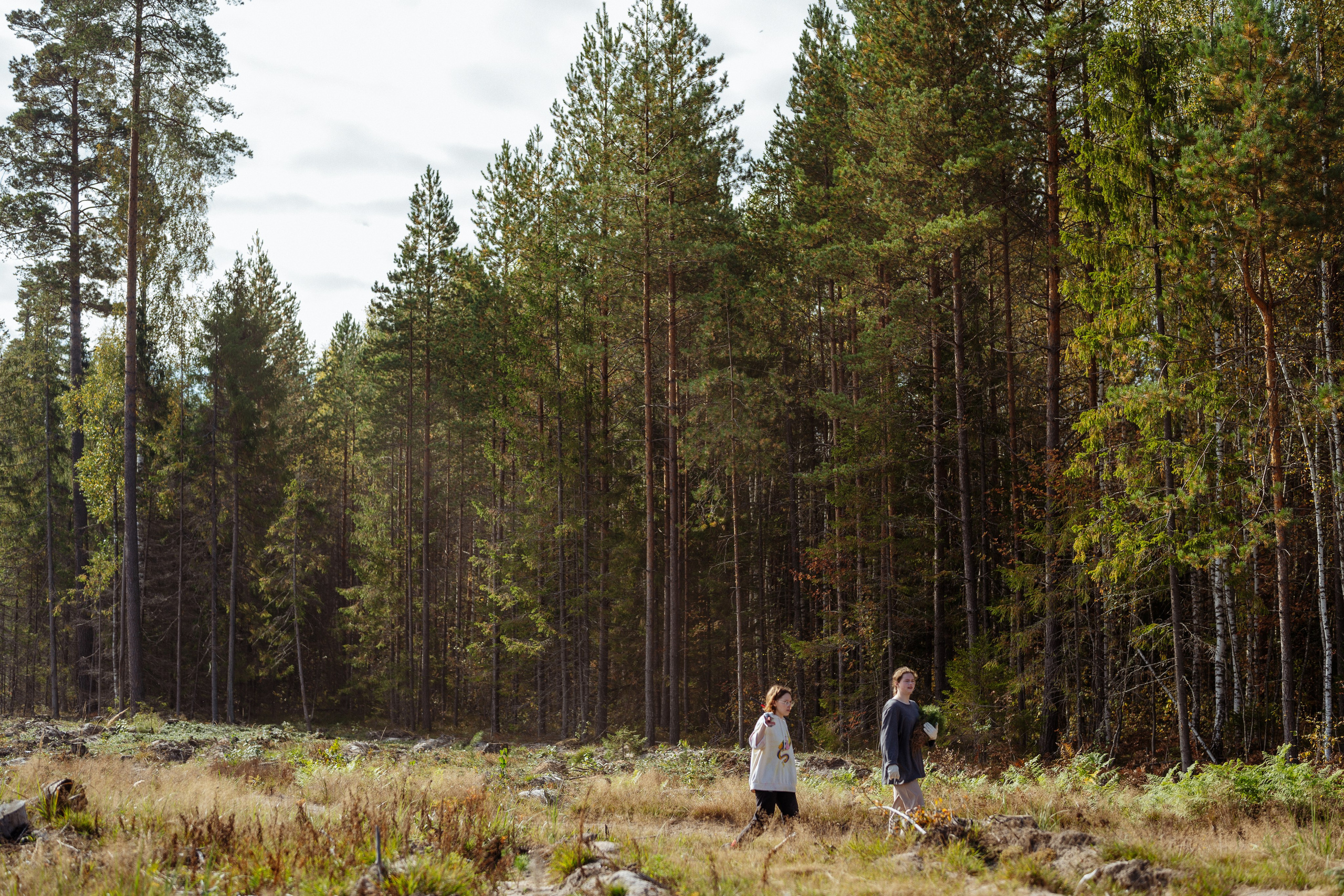 СБЕР · ЭКА · Посадка сеянцев. Владимир Вершинин, тот самый свадебный видеограф
