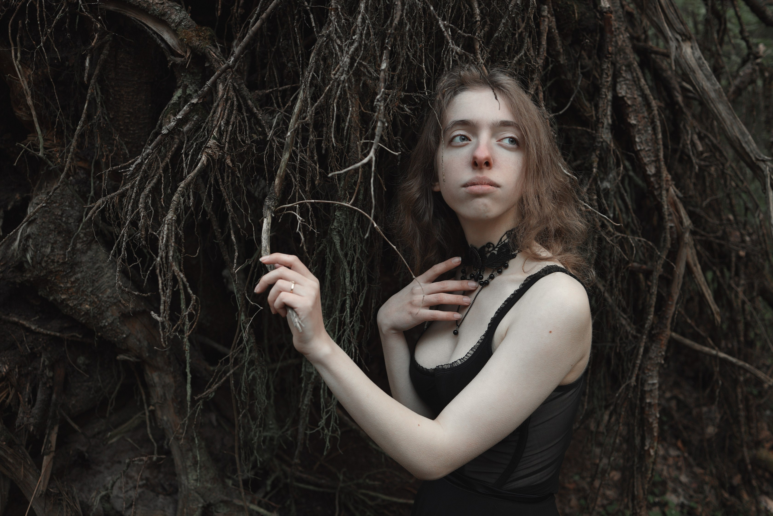 Schutzwald. Арт-фотограф. Coffelisk