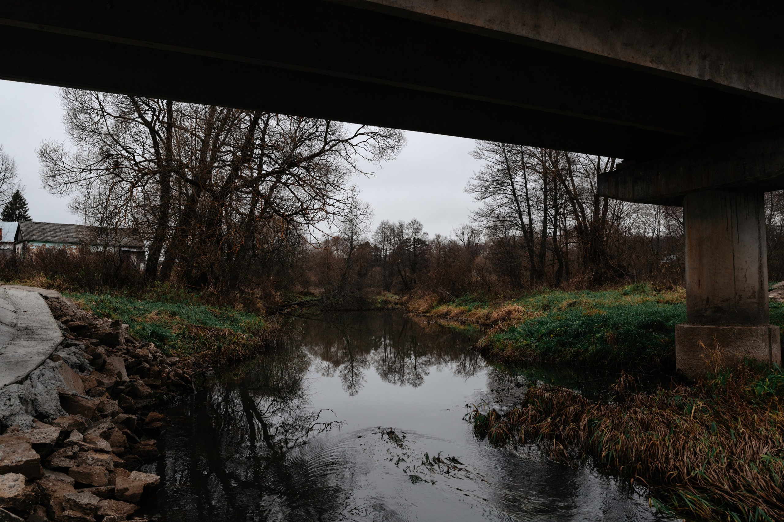 Старое место в Богимово. Vlad Trykov