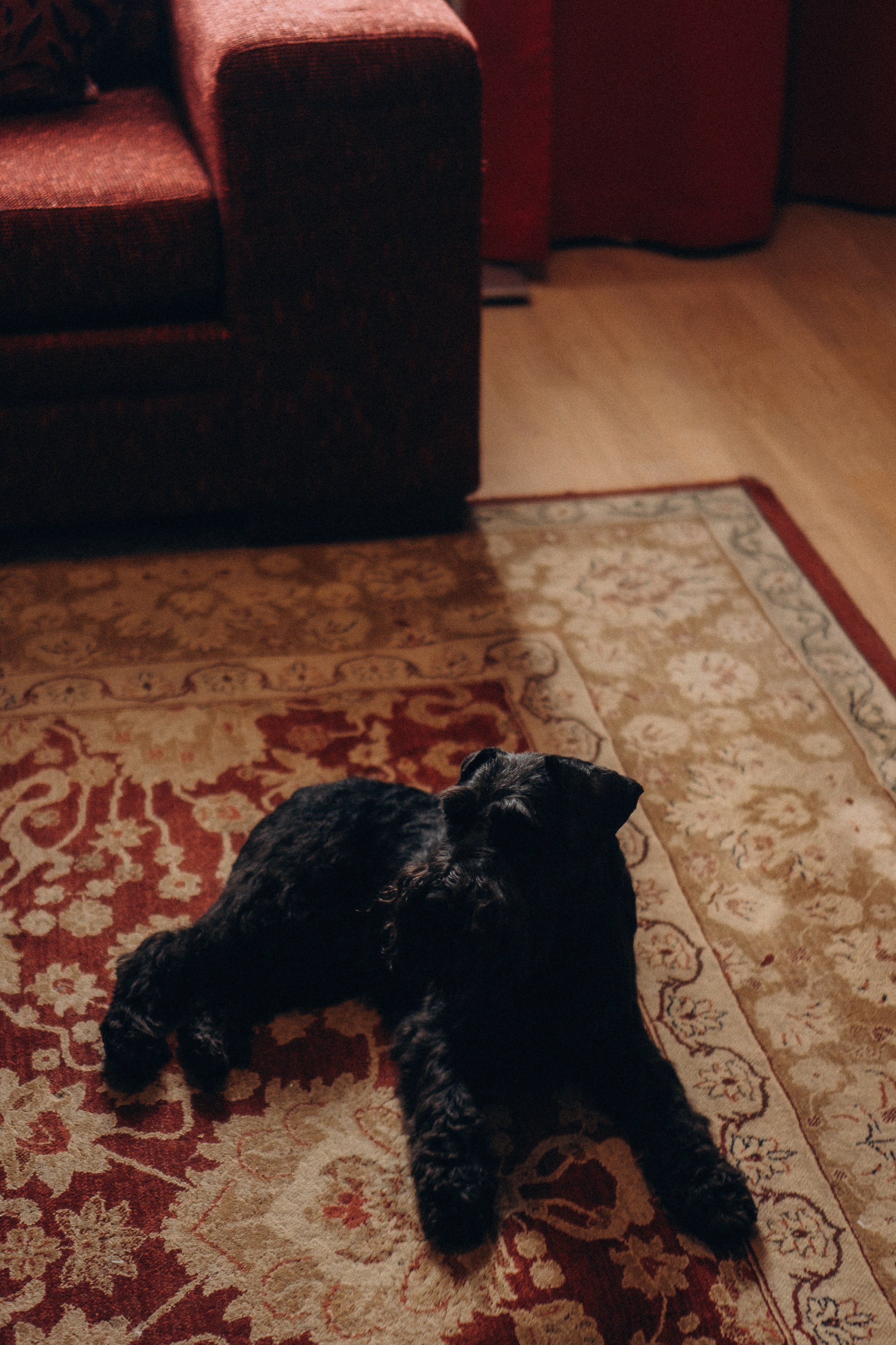 ДЕНЬ РОЖДЕНИЯ. Профессиональный фотограф, Санкт-Петербург — Виктория Богомолова