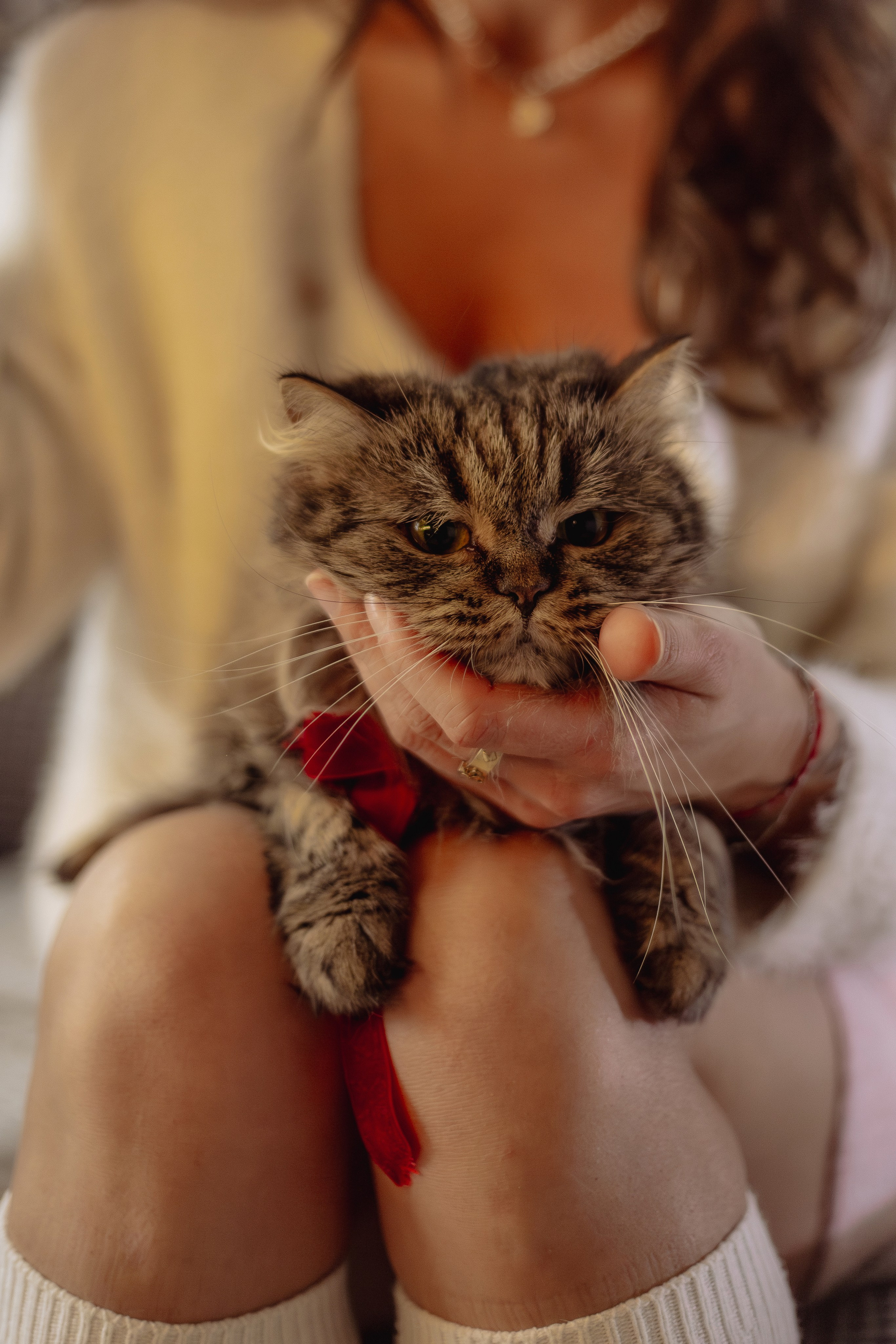 Домашняя. «NEW YEAR». Фотограф Москва / Балашиха