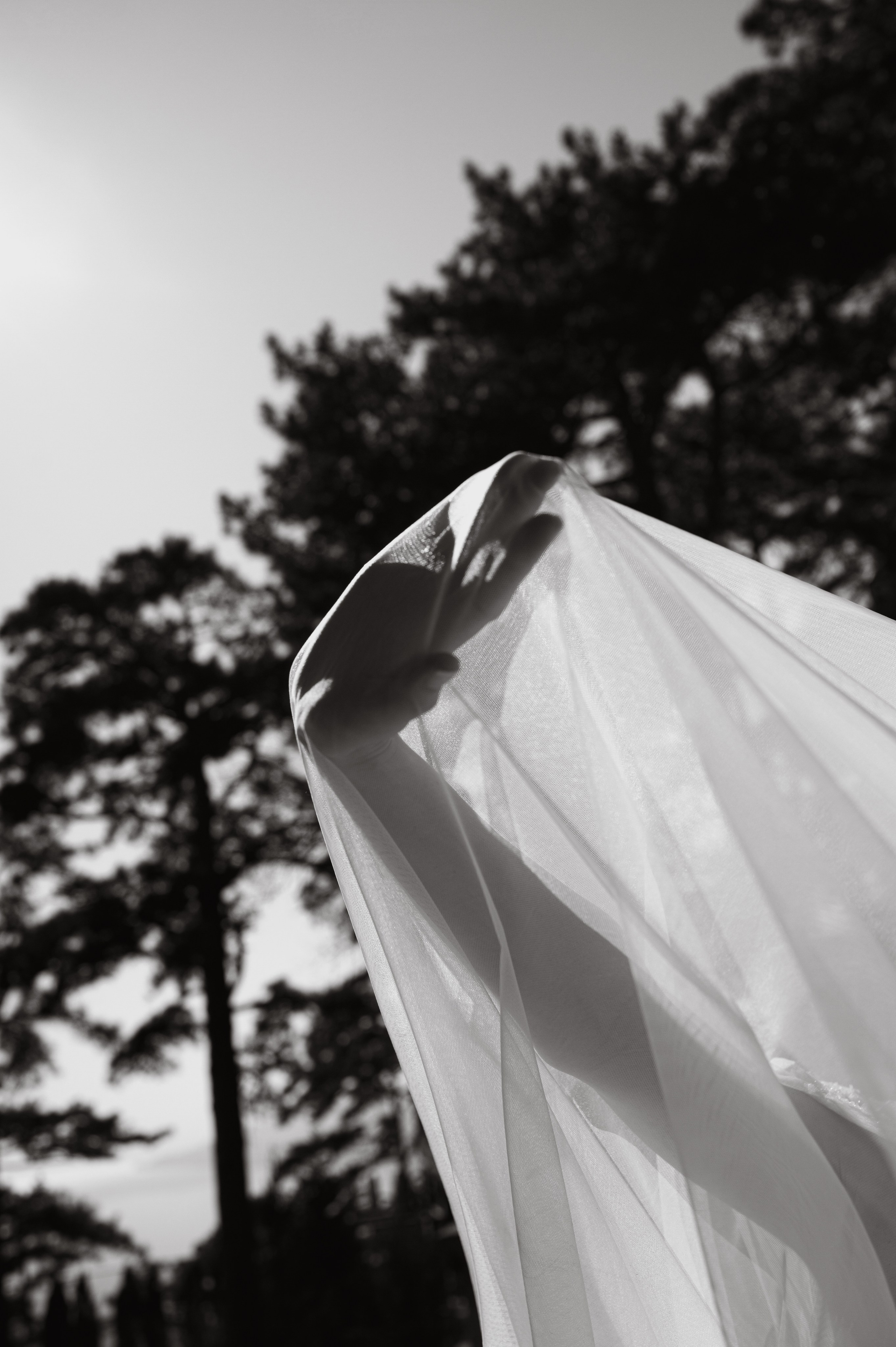 Денис и Александра. Свадебный фотограф. Крым и дальше!