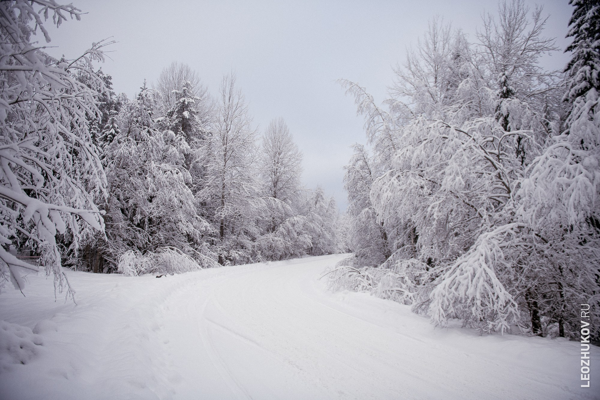 Ралли Суворов 2025. Спортивный фотограф Леонид Жуков