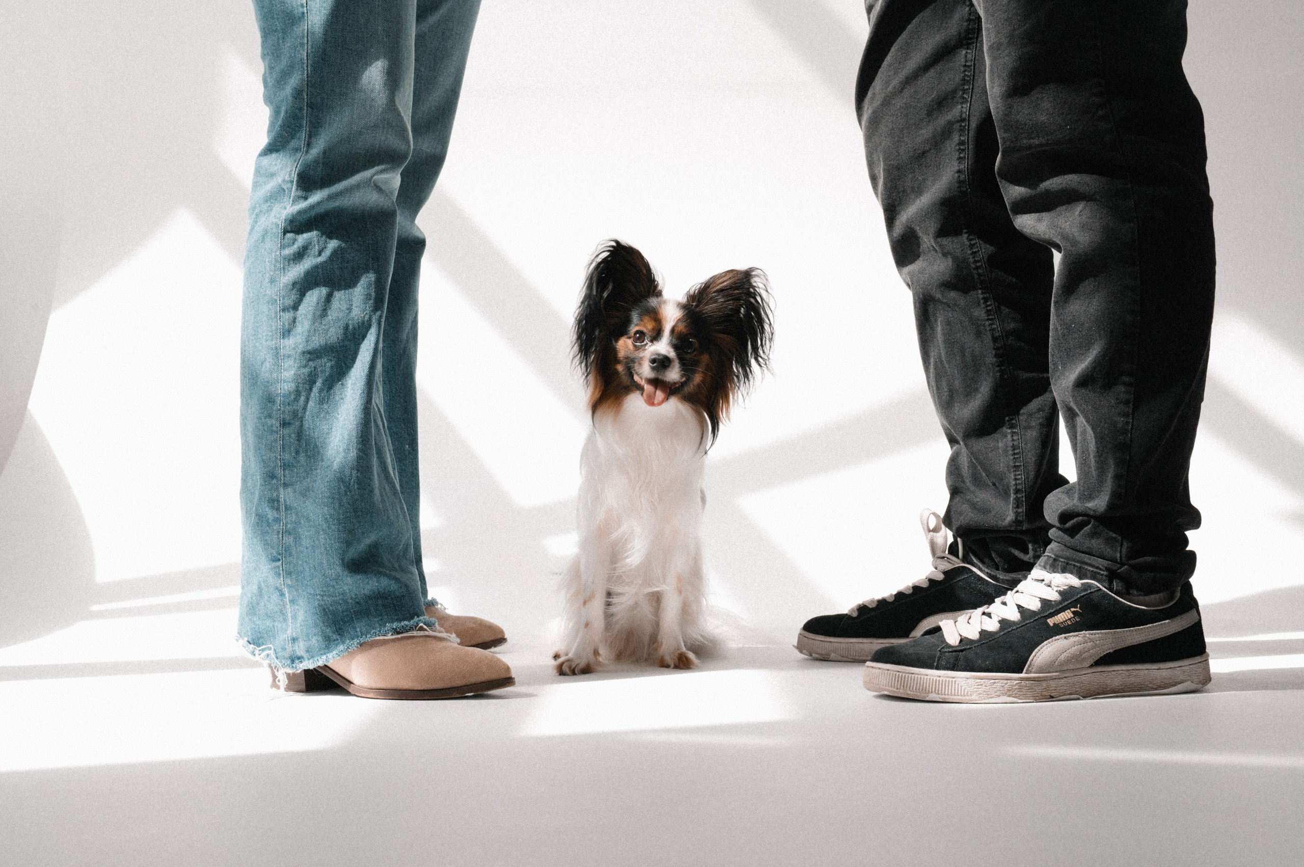 Наташа, Леша и Черри (Королев, 2025). Анна Пушина, фотограф, Москва, Королев, Пушкино