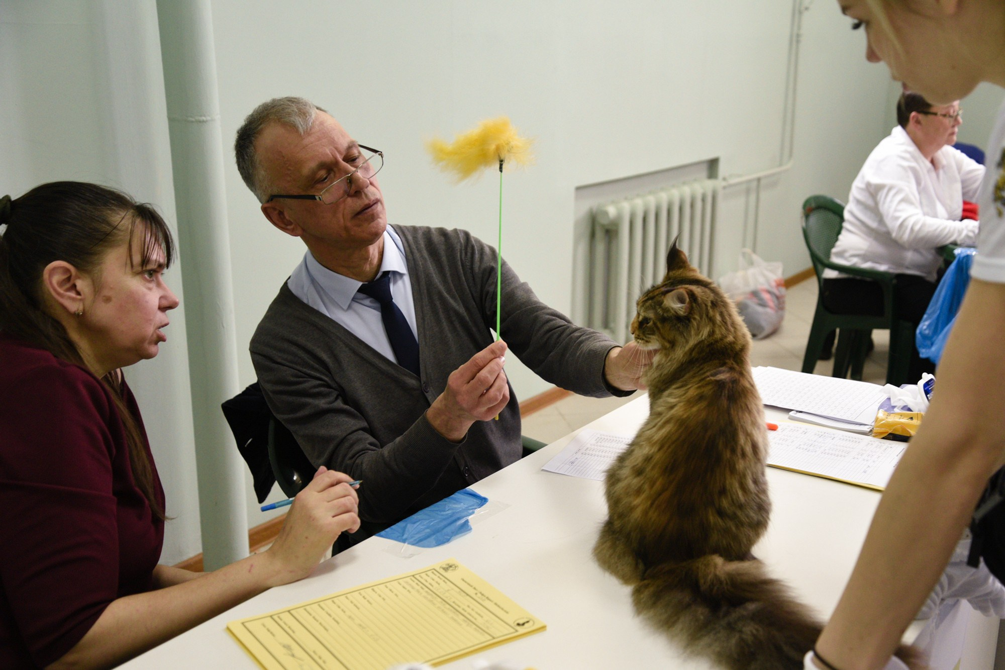 РЕПОРТАЖ. Репортажный и предметный фотограф Ольга Доловова в Ульяновске