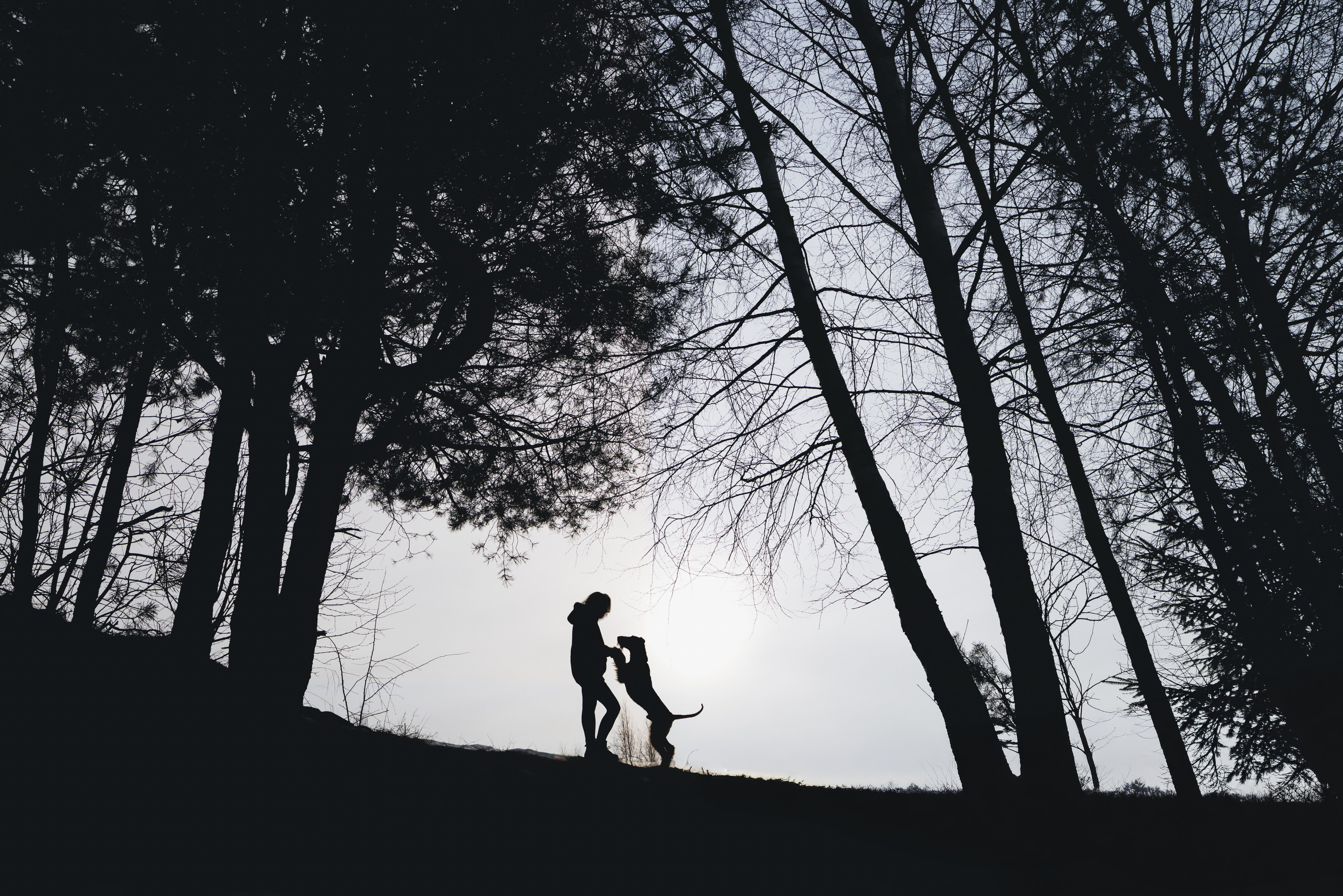 Оля и Хард. Фотограф анималист Осипчикова Мария