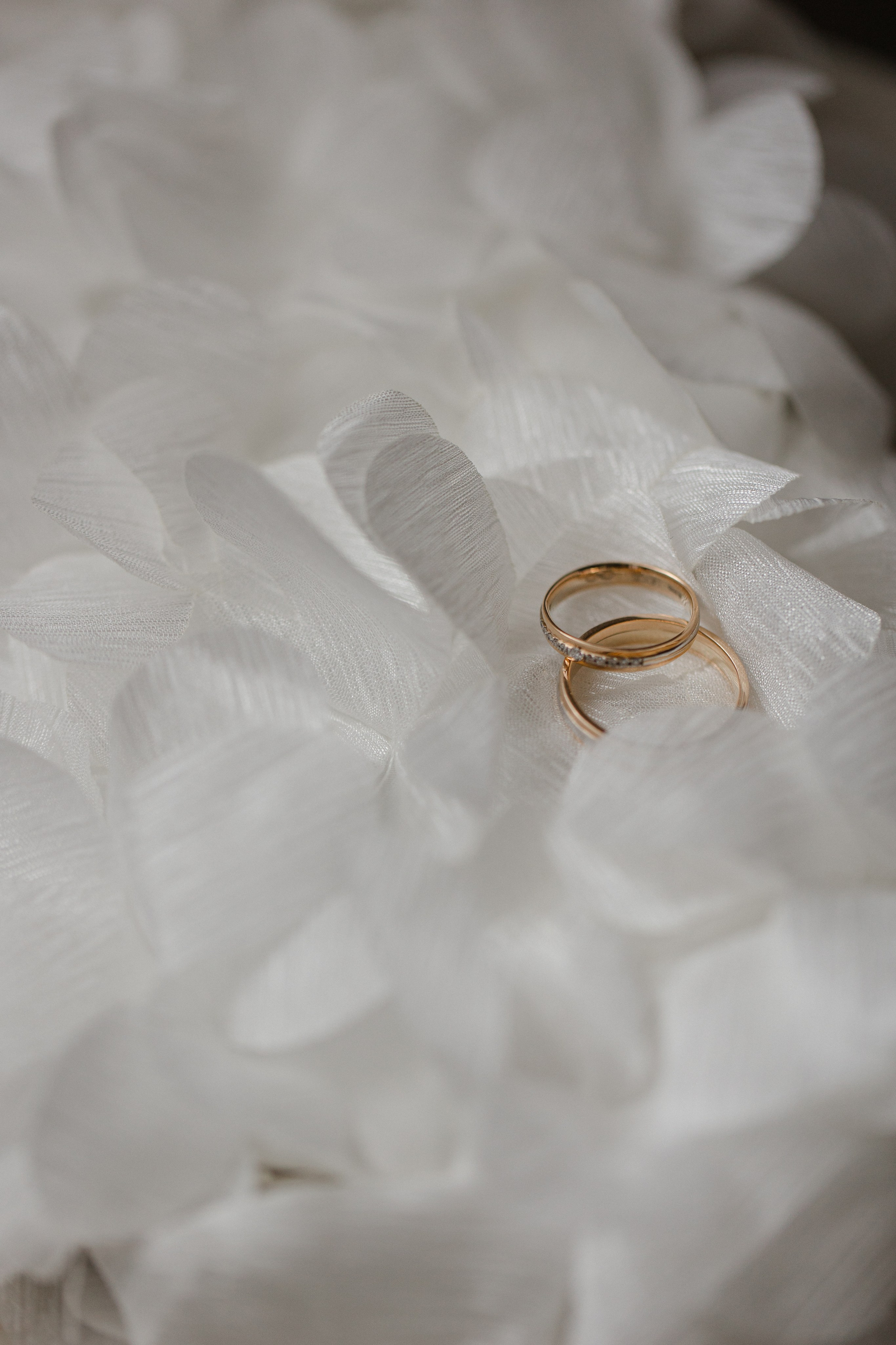 Свадьба Виктории. Семейный и детский фотограф в Москве Кузьмина Мария