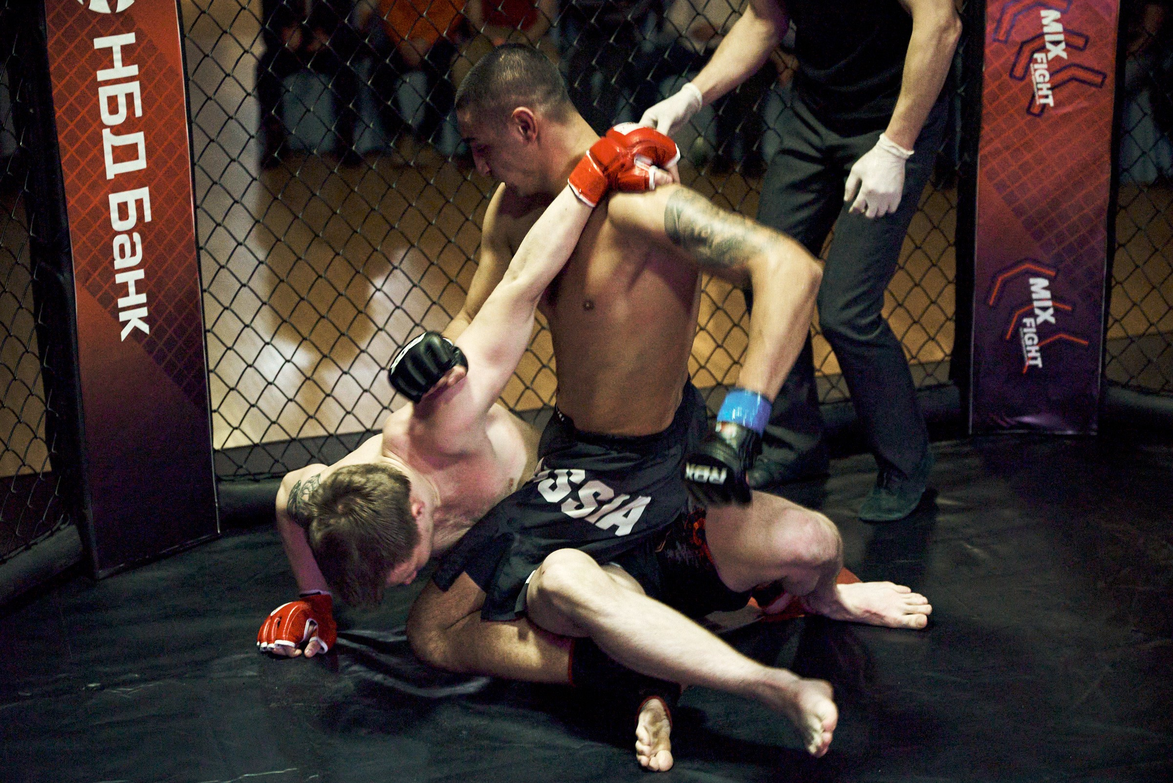 Бои. Маляревич Дмитрий свадебный фотограф