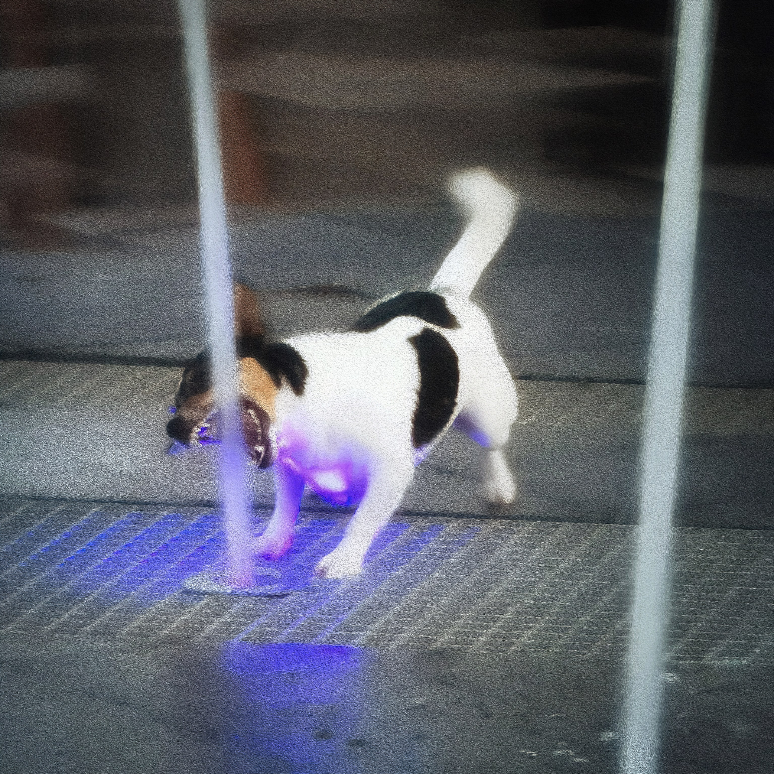 Стрит и пейзажи. Главная