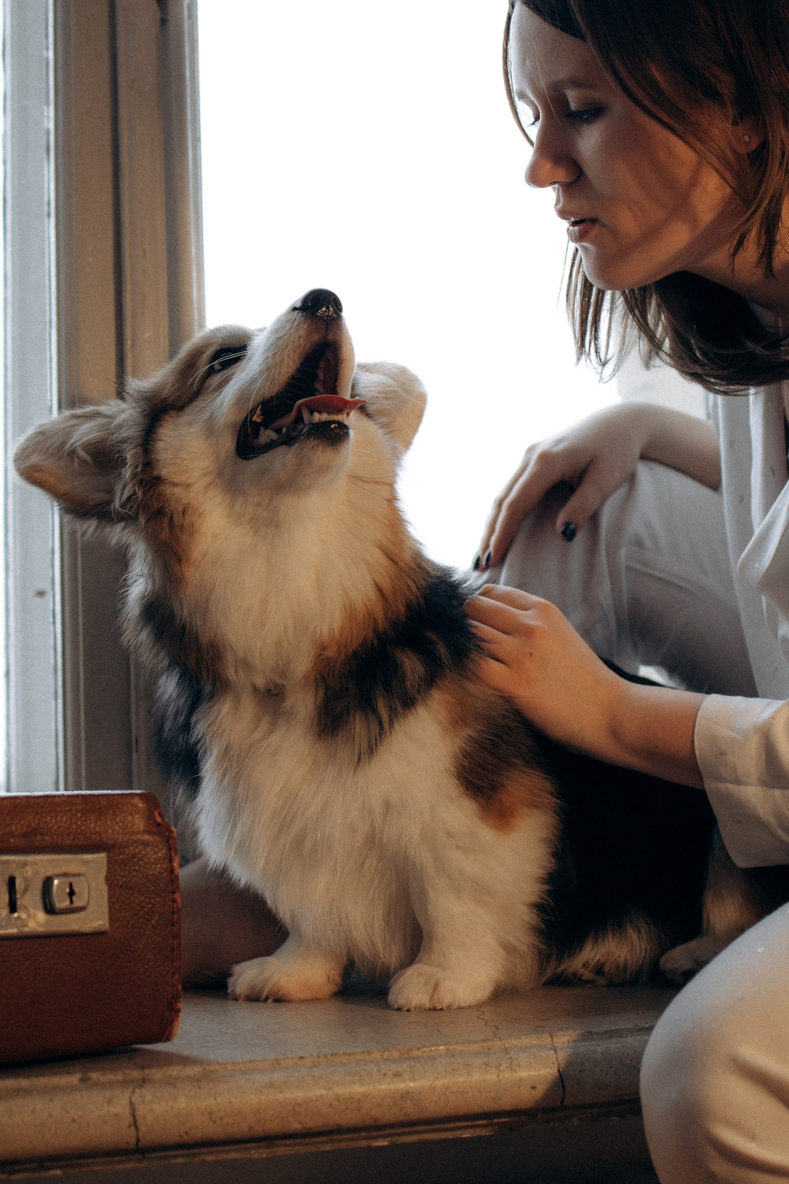 Мишель и Влада. Фотораф — анималист Мария Шистка