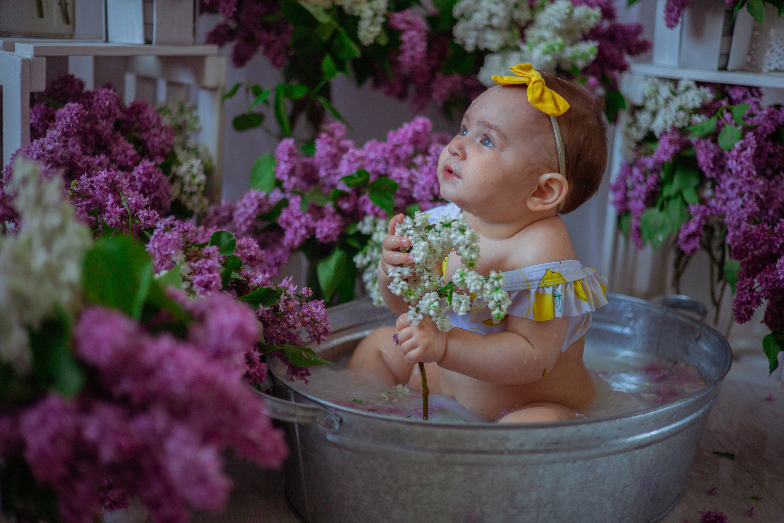 Мира сирень. Семейный и детский фотограф в Михайловке Татьяна Лестьева