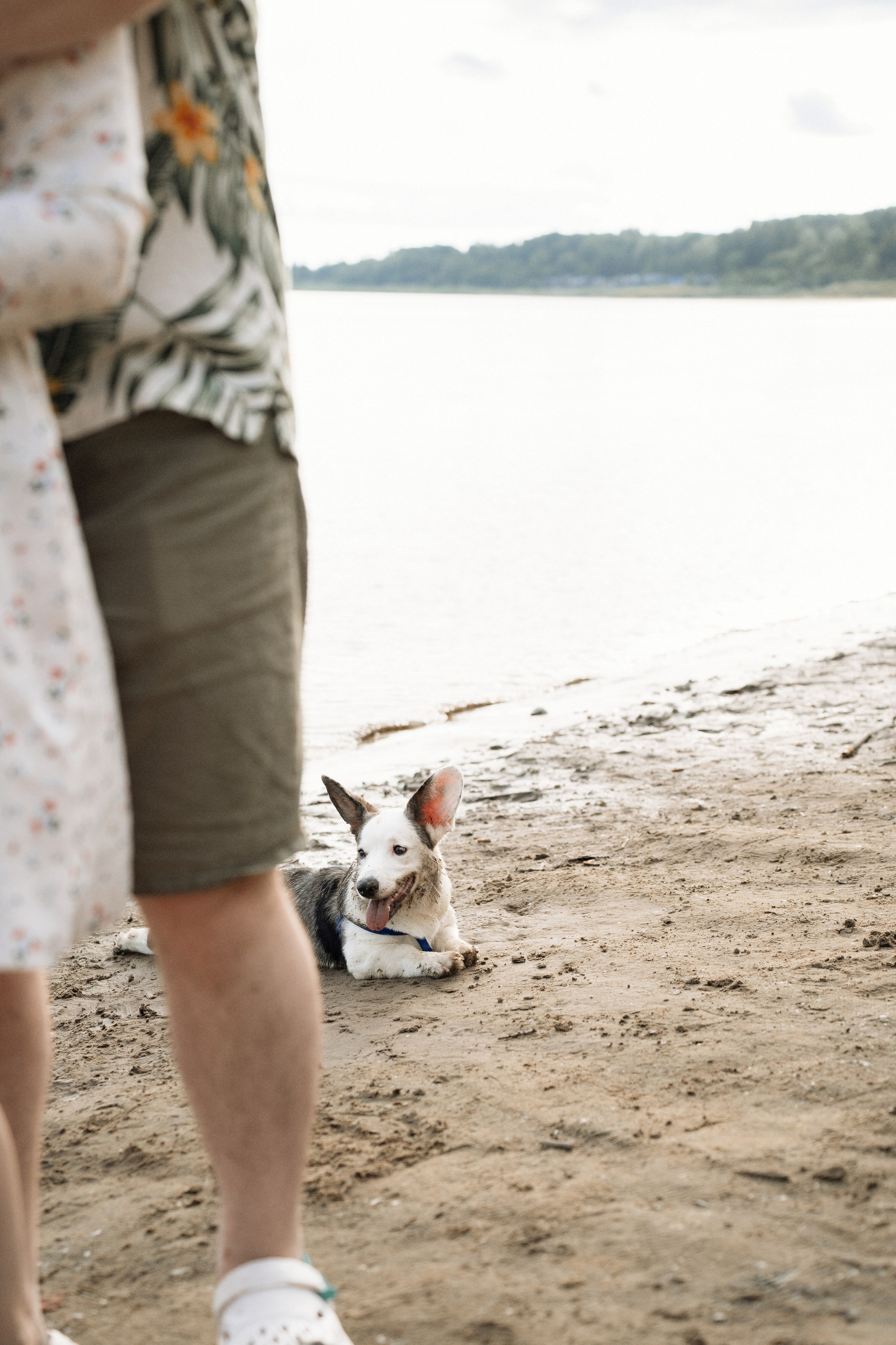 Алена и Максим. Фотосессия на реке. Яна Орехова. Фотограф в Томске