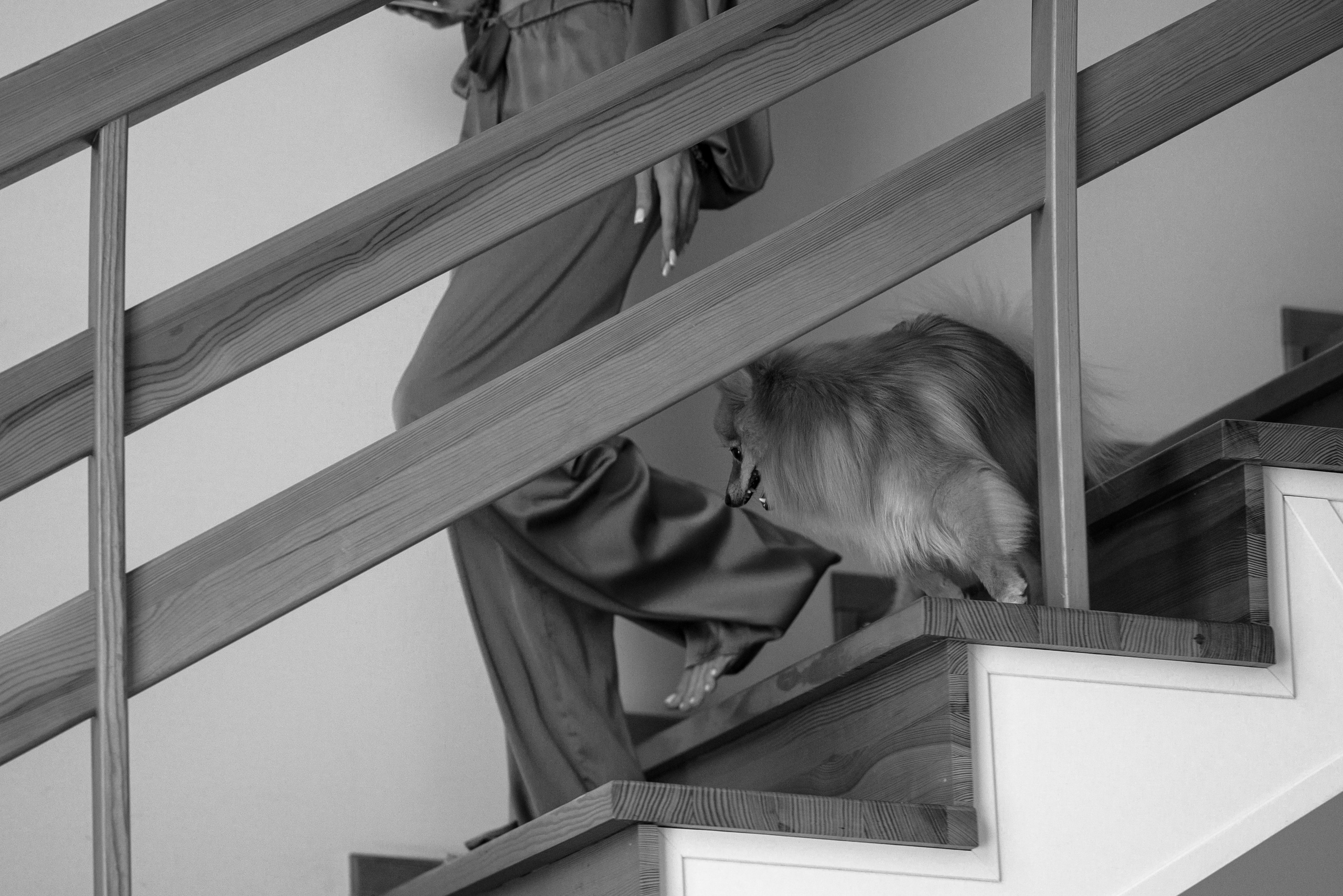 Никита и Вероника. Свадебный фотограф Евгения Наумовец