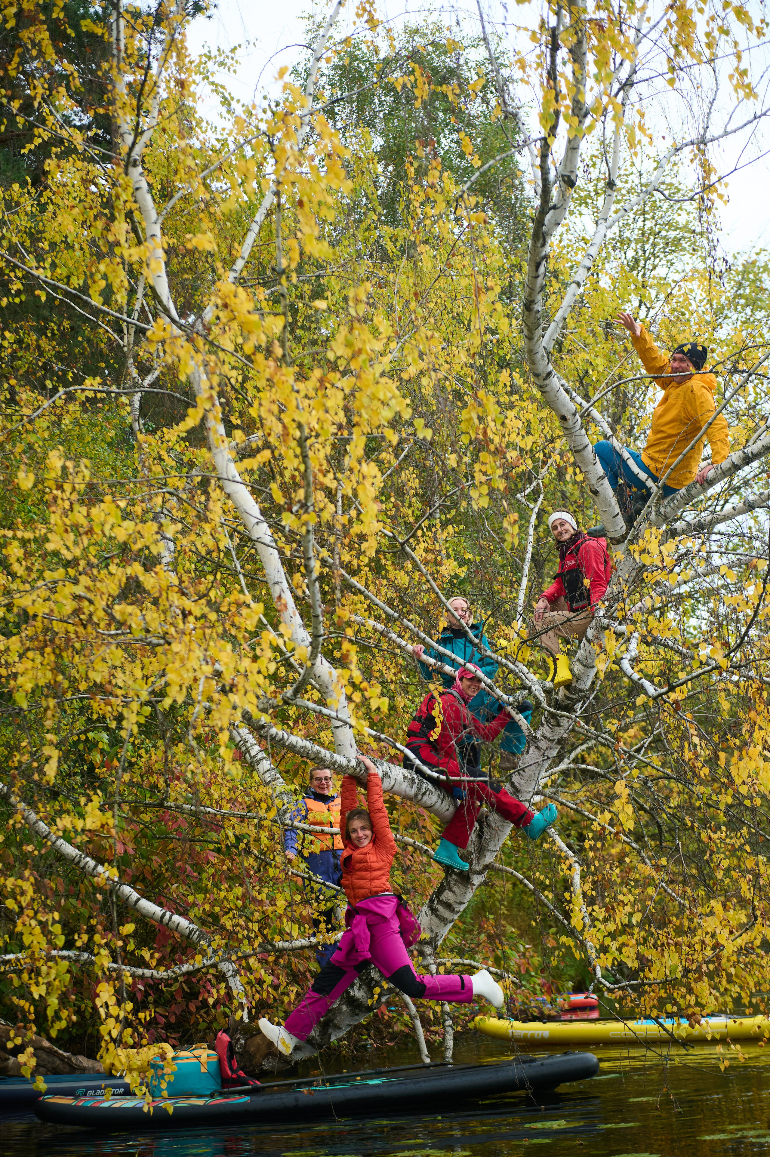 Осень_Серебряный бор. Главная