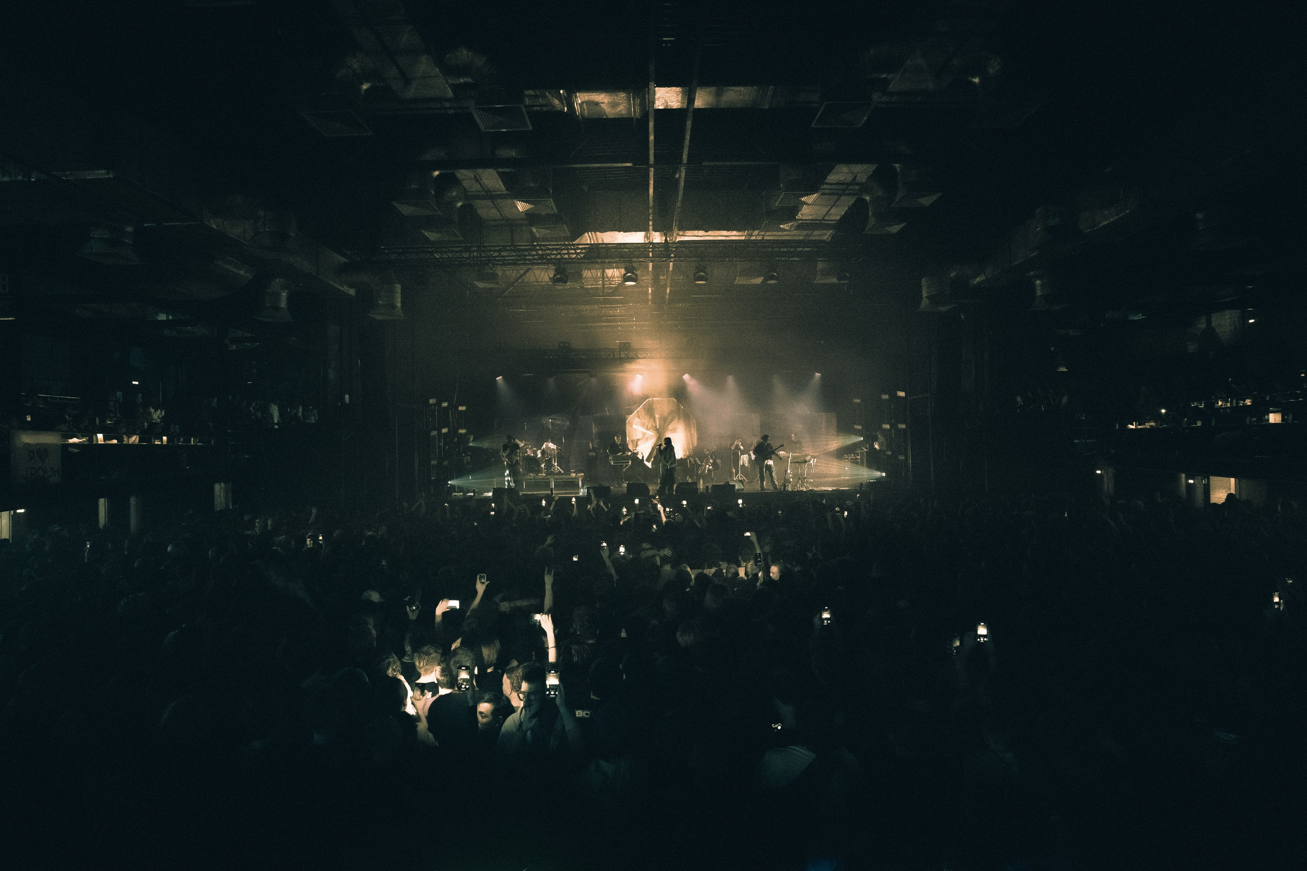 SALUKI. PASHAHARCE PHOTOGRAPHER & VIDEOGRAPHER