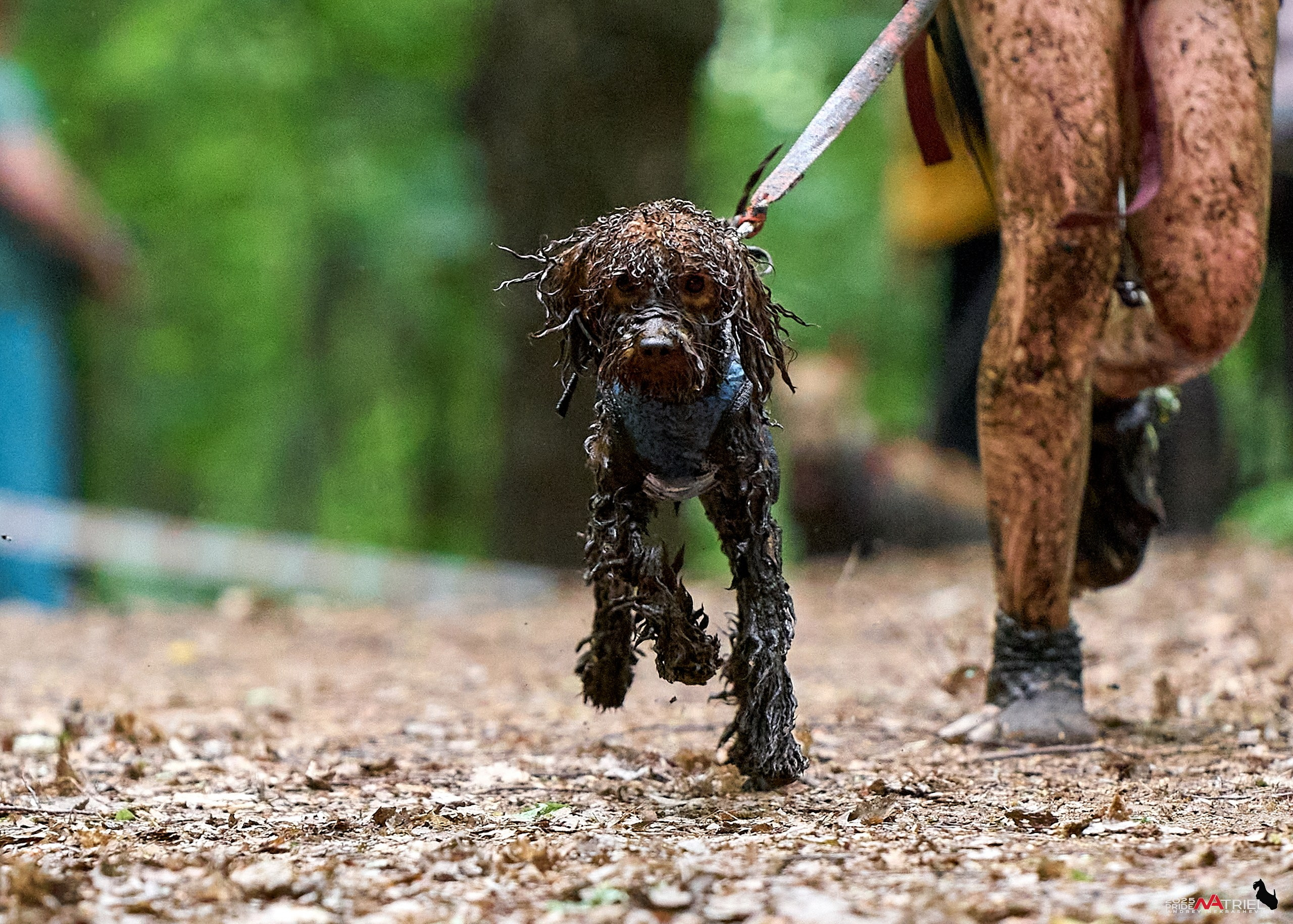 Russian Extreme Dog Trail — 2025