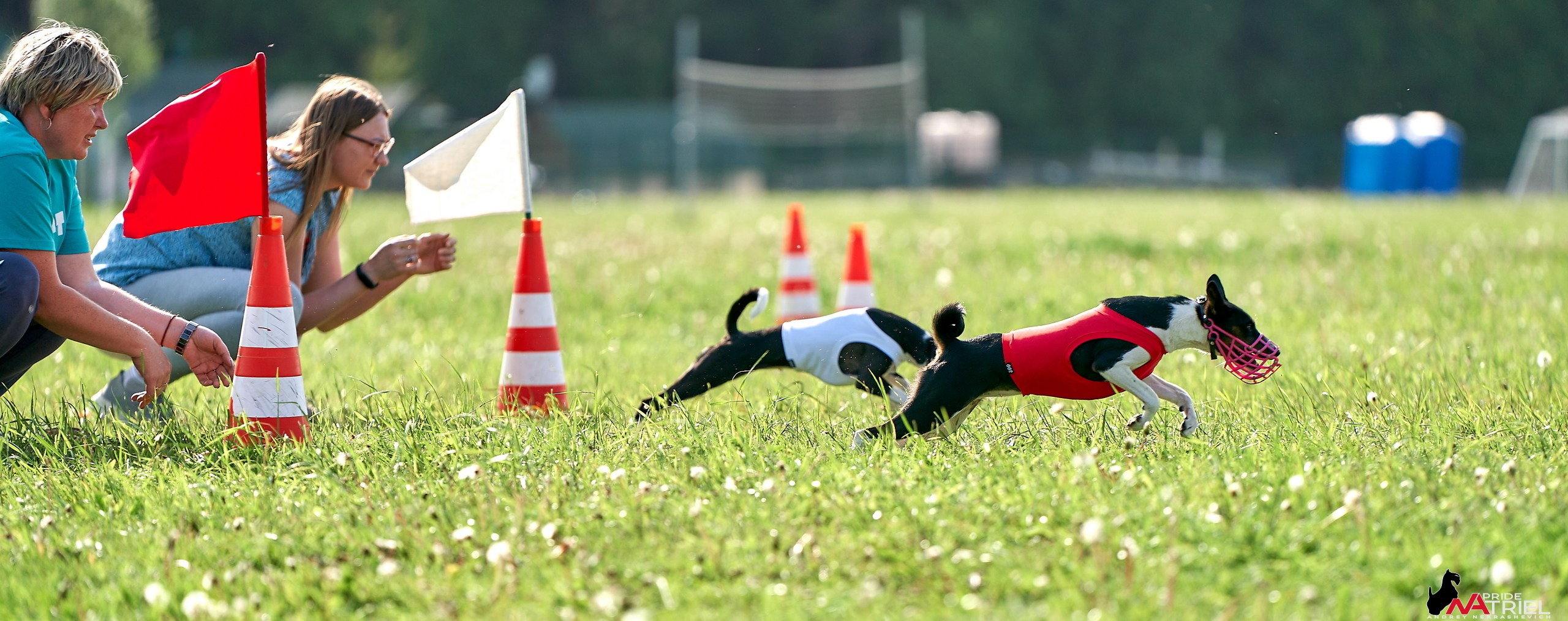 Съемка курсинг — галерея NATRIEL