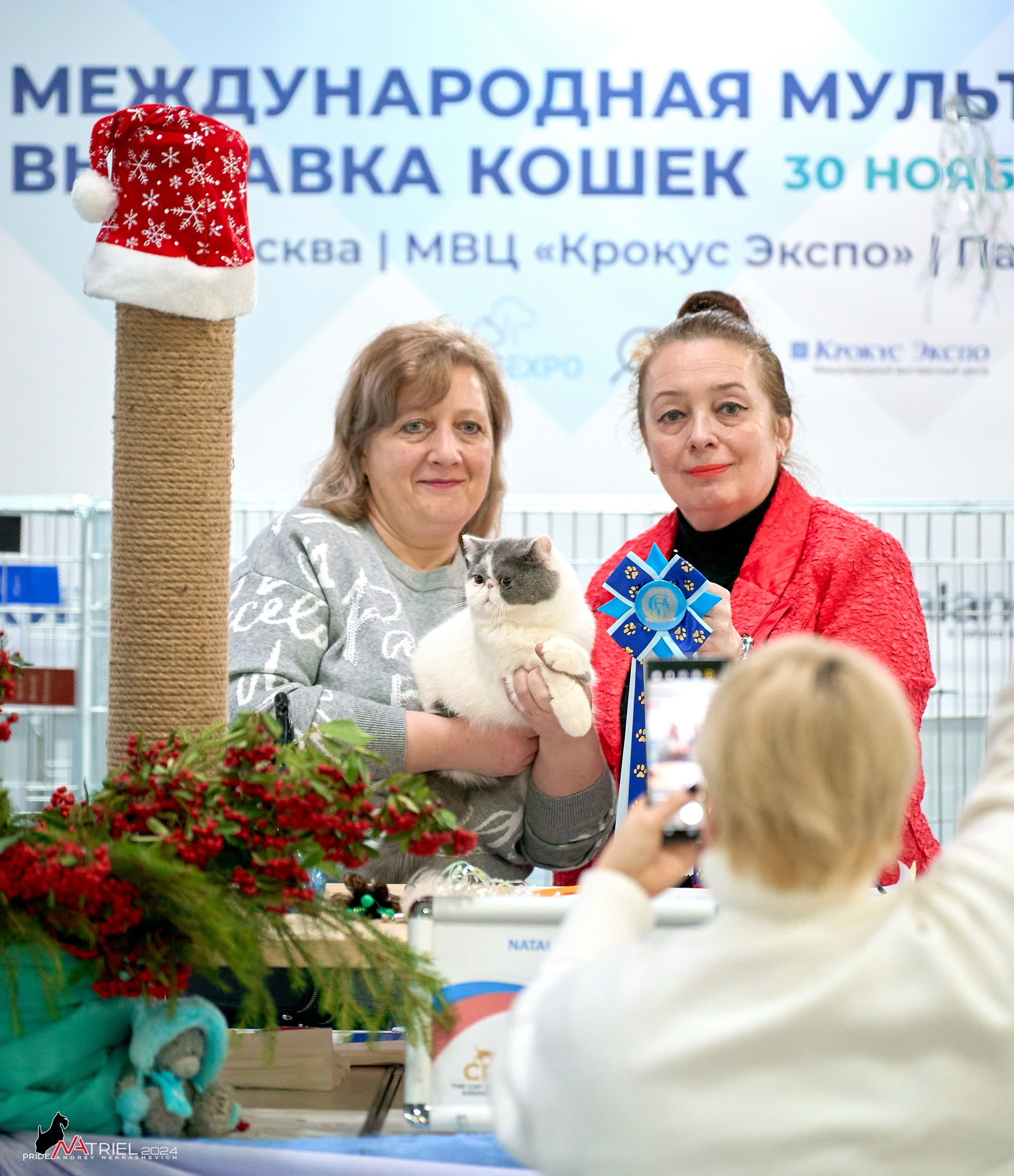 Выставки животных — галерея NATRIEL