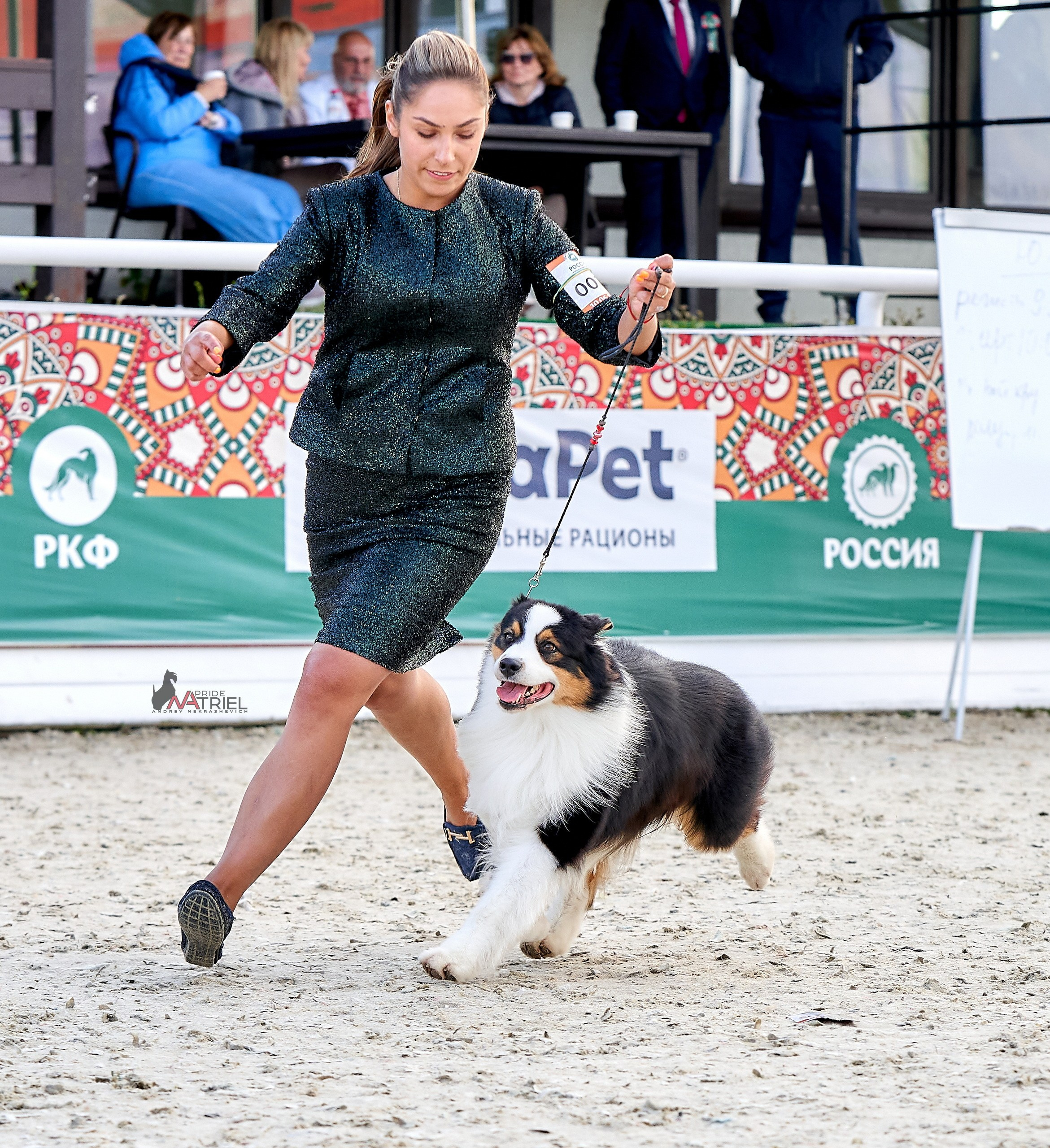 Работа в рингах — галерея NATRIEL