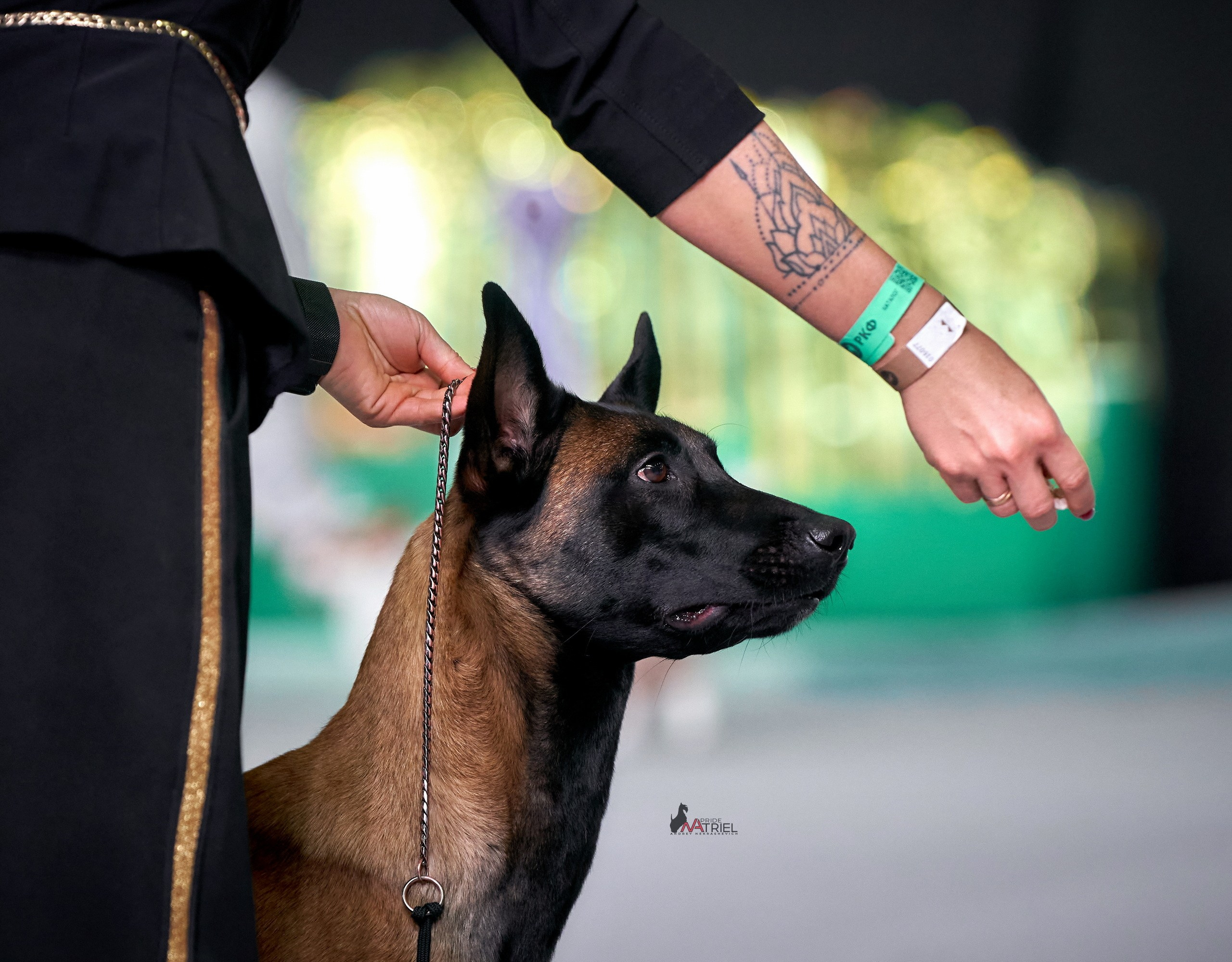 Работа в рингах — галерея NATRIEL