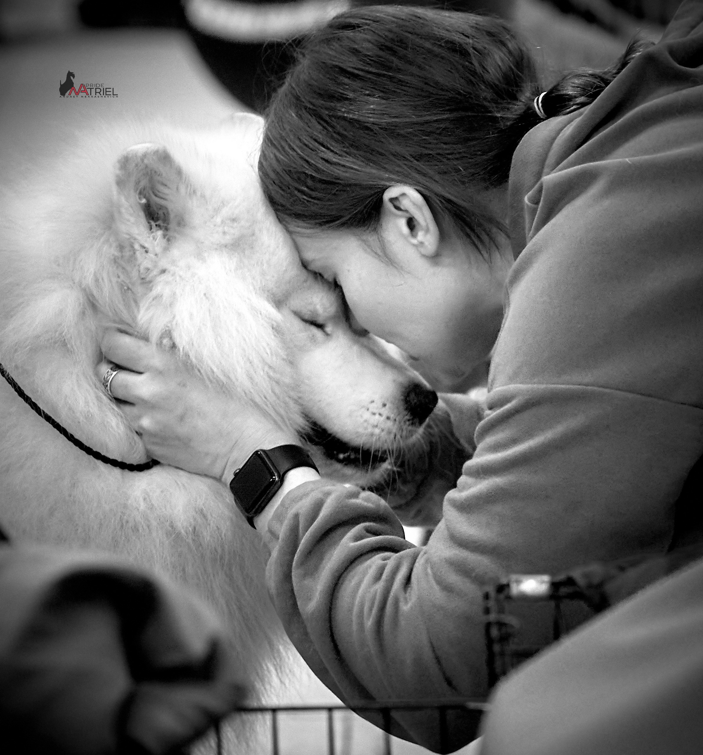 Картинки с выставки — галерея NATRIEL