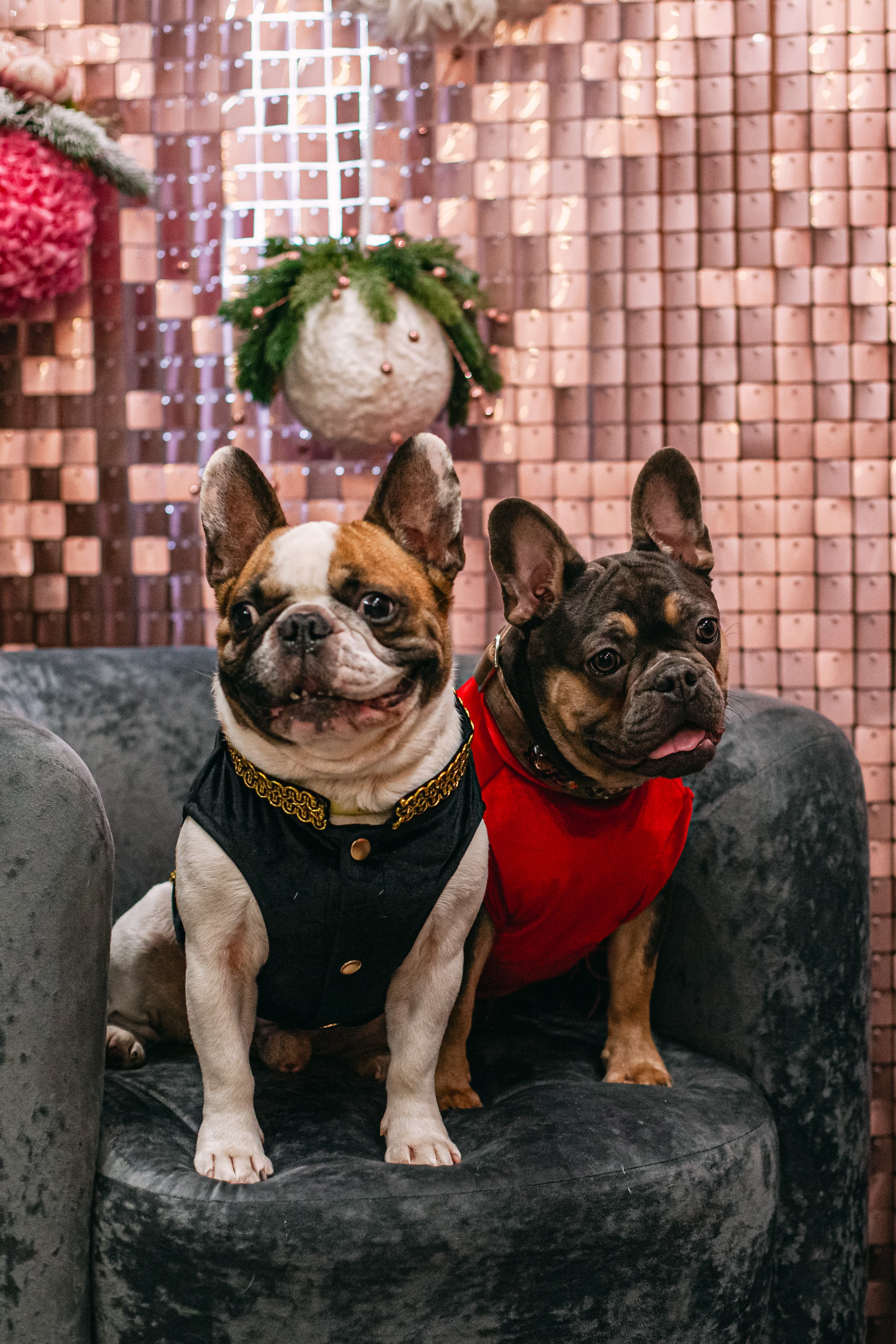 Бульёлка 2024. Фотограф-анималист Татьяна Степанова