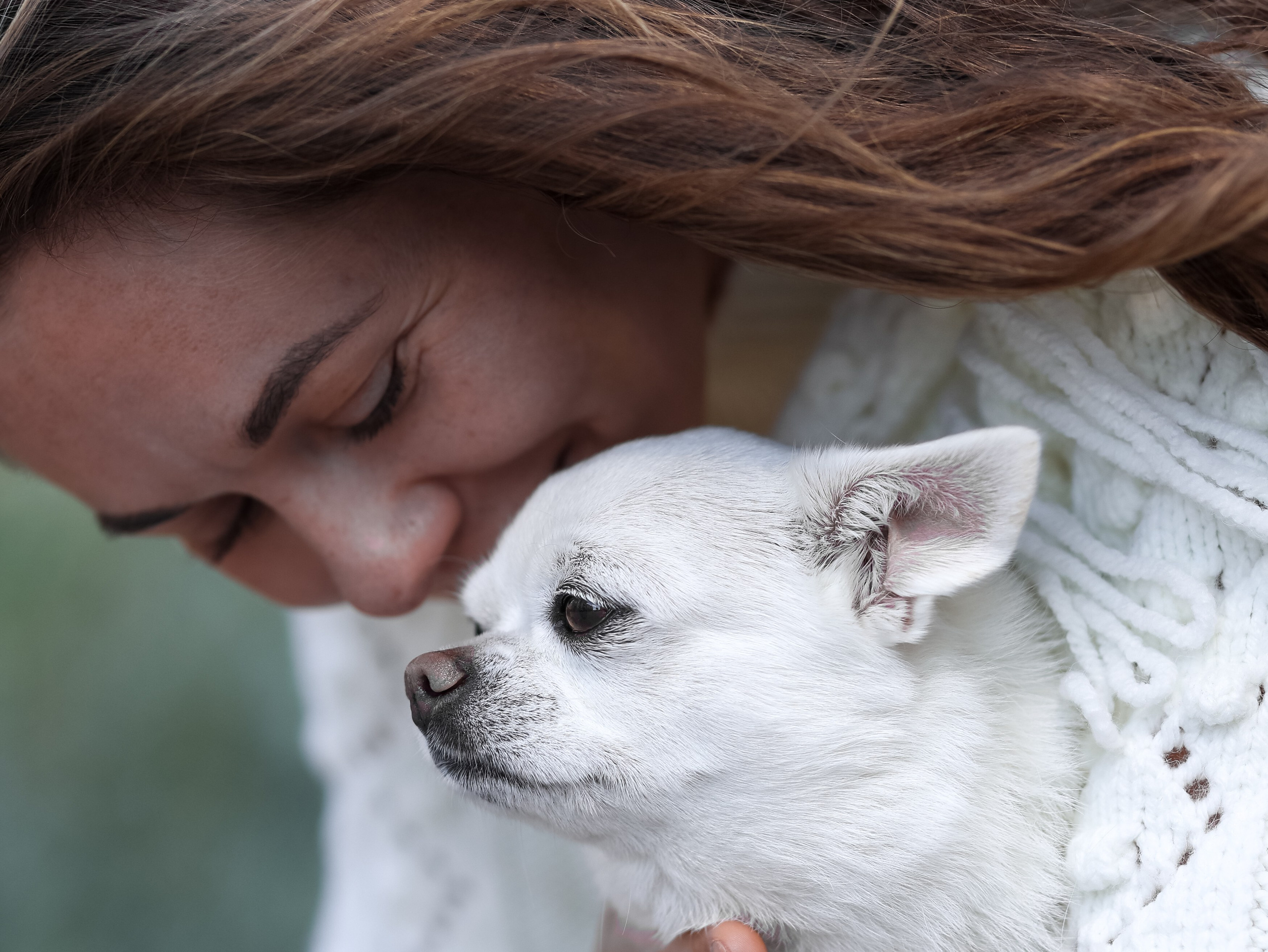 Зефир и Алена. Фотограф-анималист в Москве Кириллова Татьяна