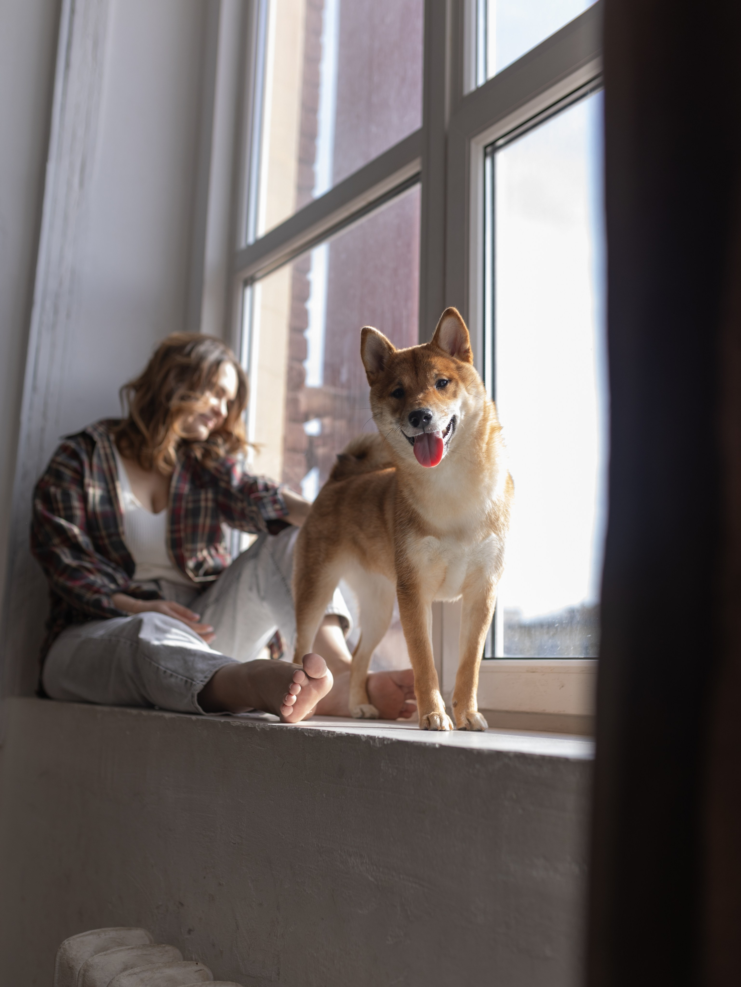 Мика и Настя. Фотограф-анималист в Москве Кириллова Татьяна