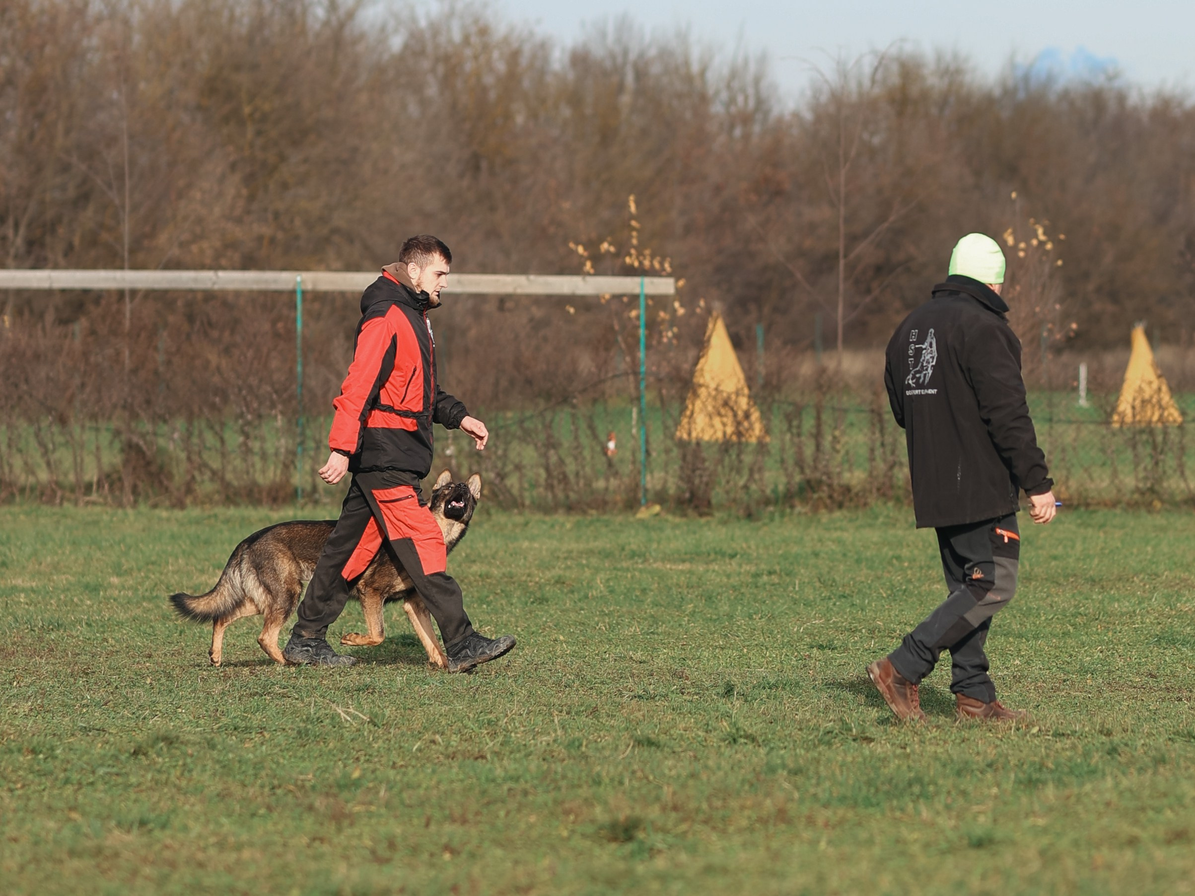 Соревнования BH. Фотограф-анималист в Москве Кириллова Татьяна