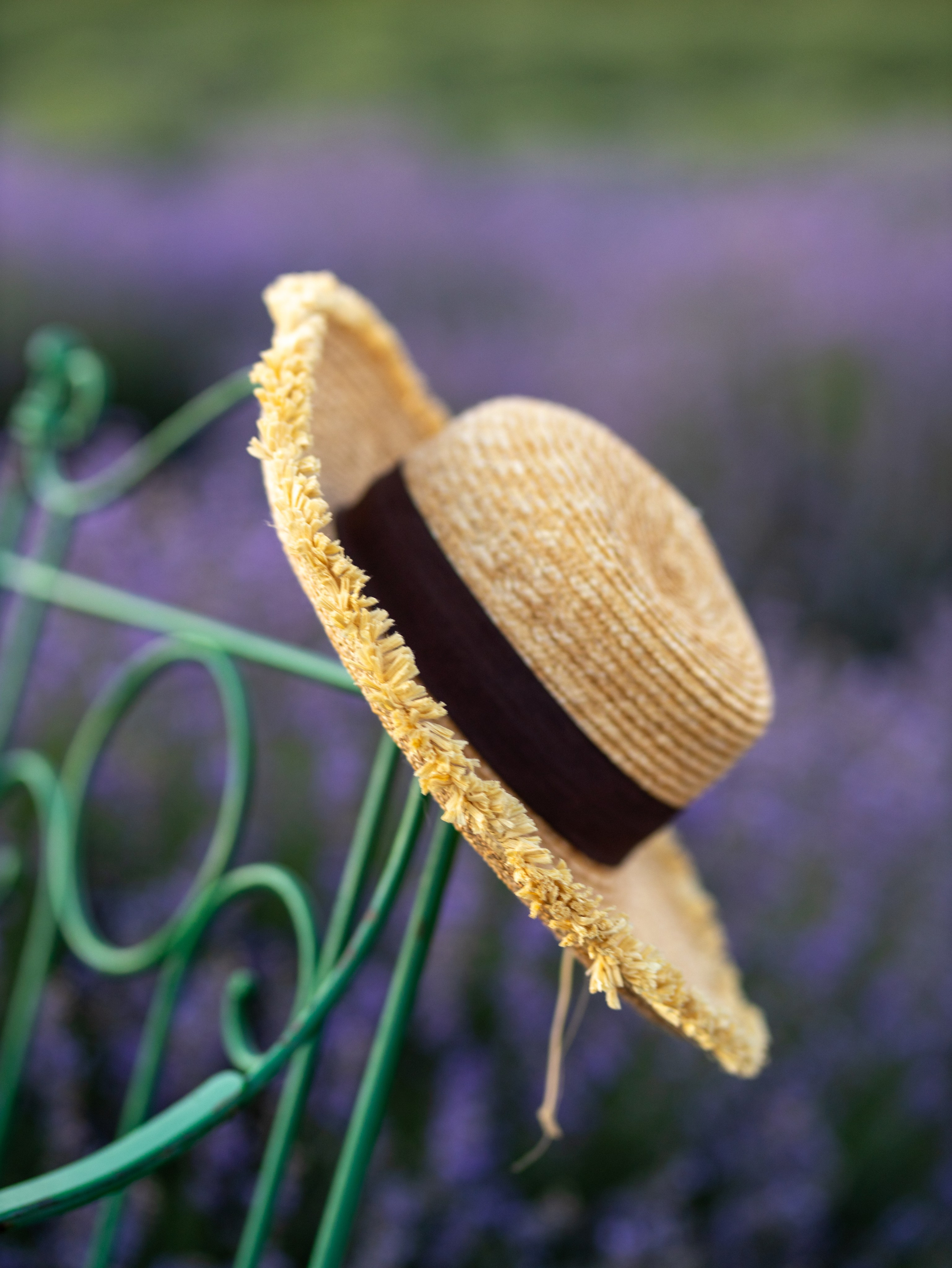 Юля. Фотограф-анималист в Москве Кириллова Татьяна