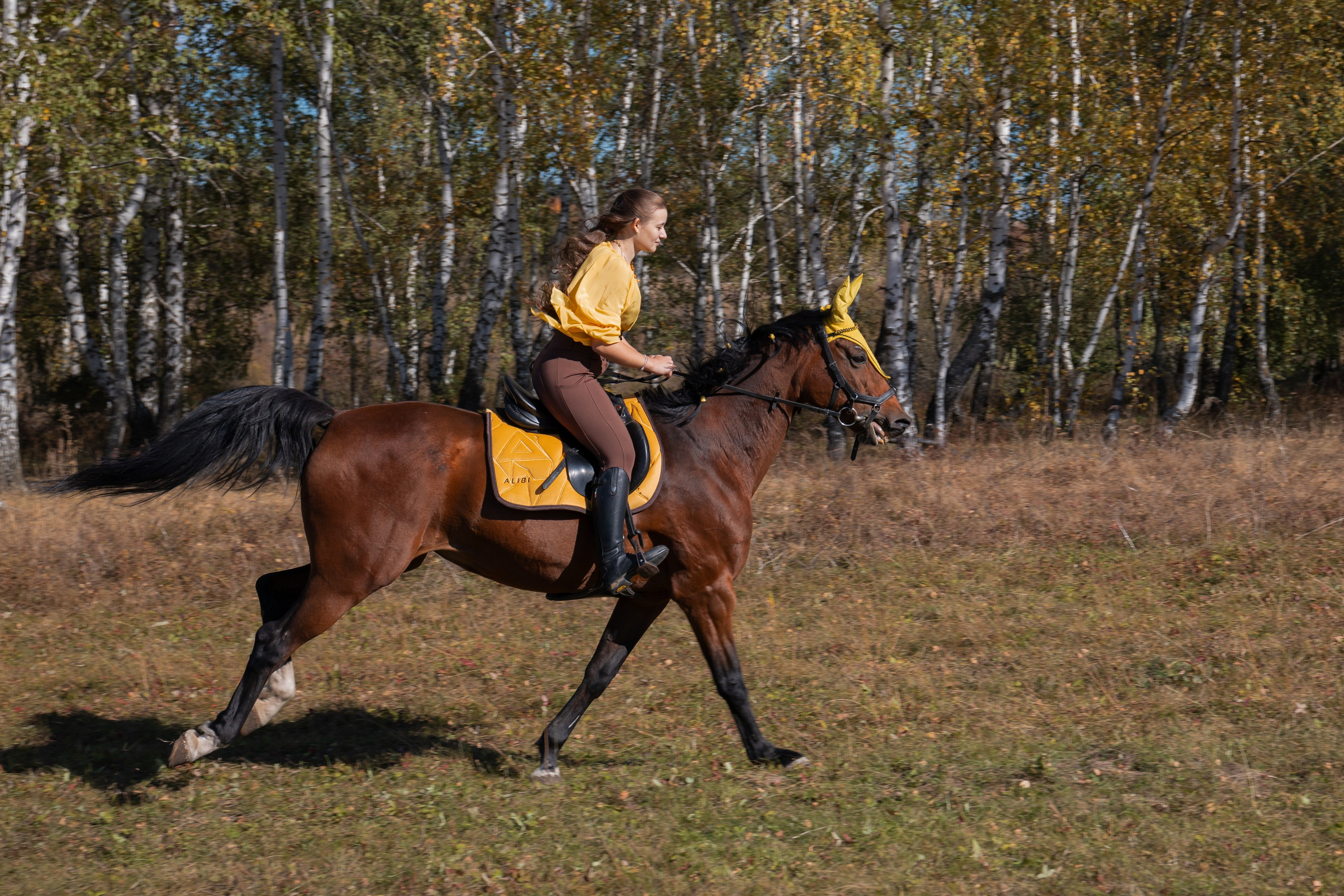Фотосессия с лошадьми