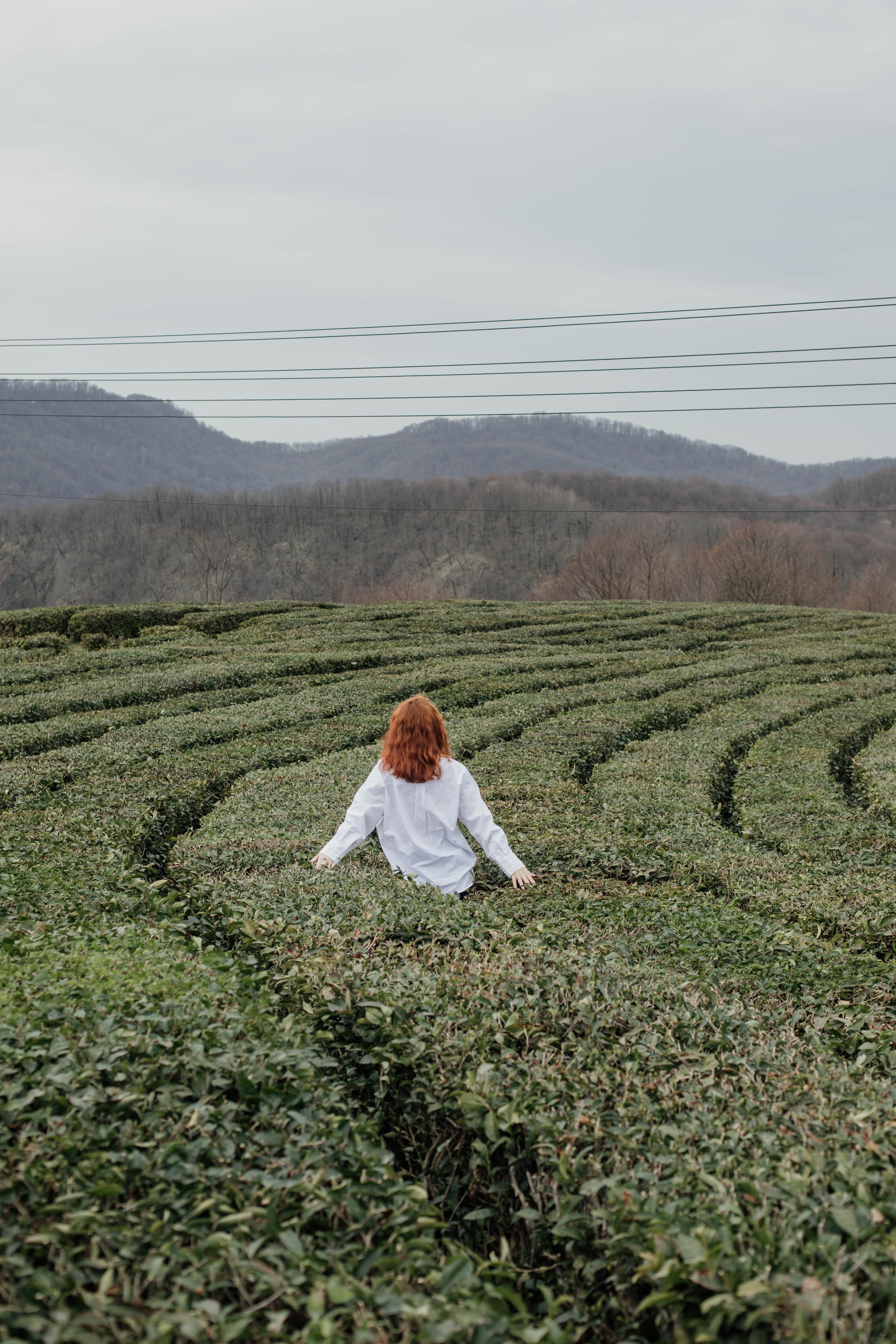 Дарья с семьей. Свадебный, семейный, детский фотограф в Сочи Виолетта Александрова