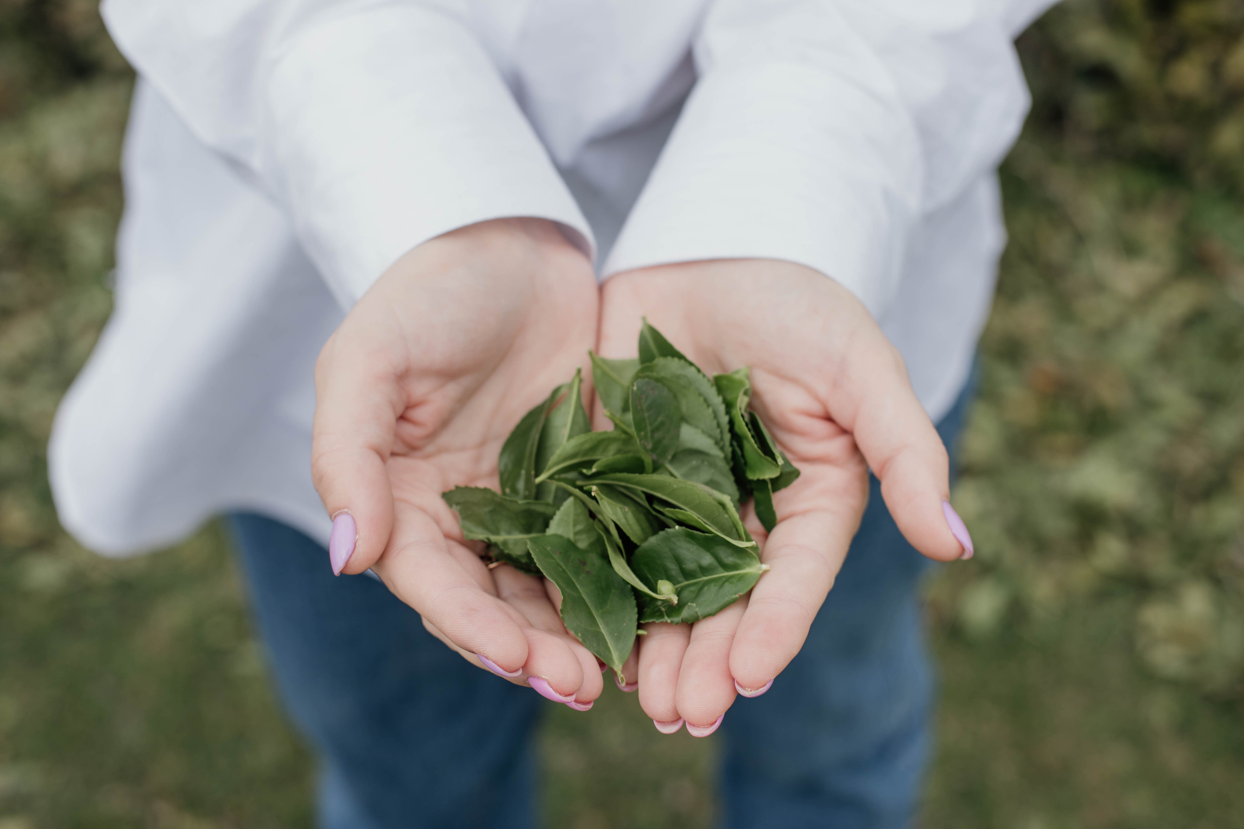 Дарья с семьей. Свадебный, семейный, детский фотограф в Сочи Виолетта Александрова