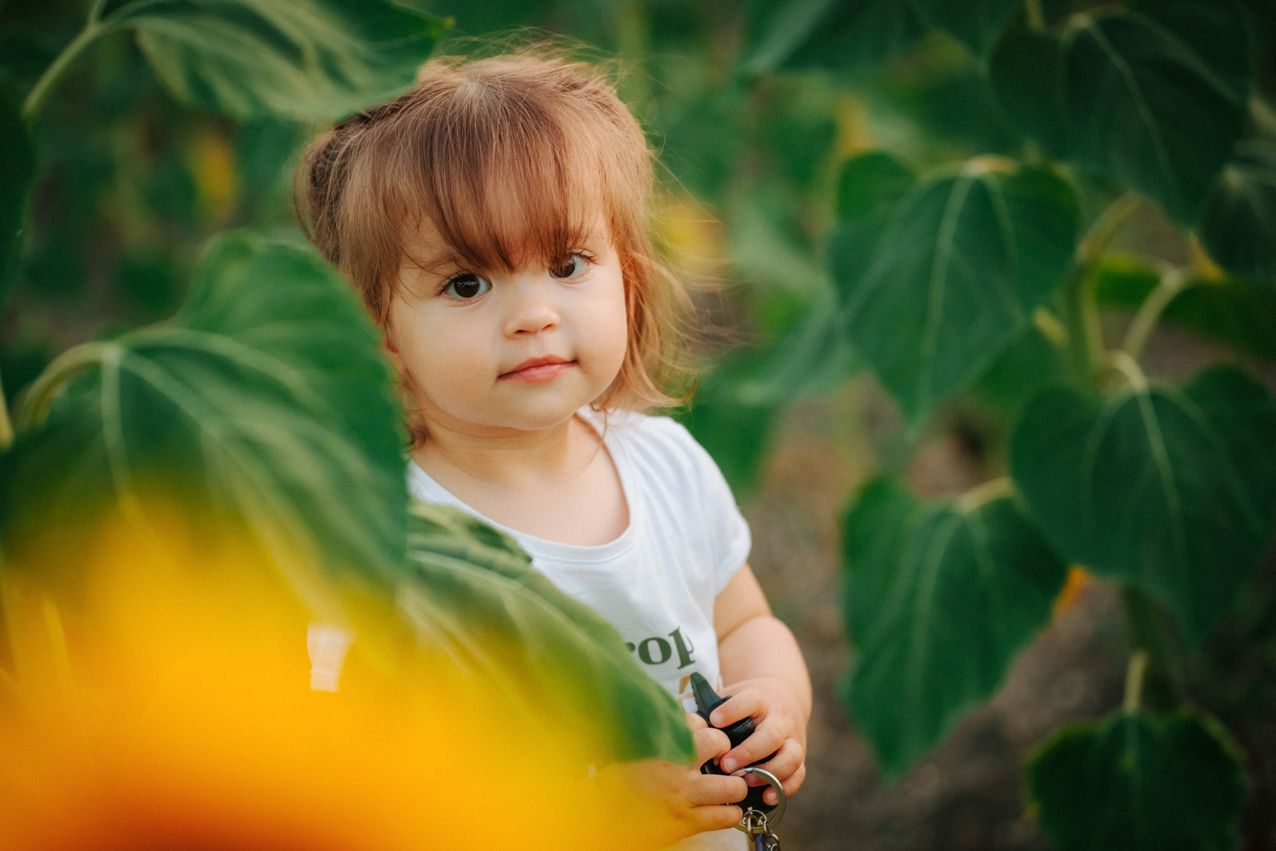 Подсолнухи!. Семейный, детский, свадебный, фотограф в городе Анапа