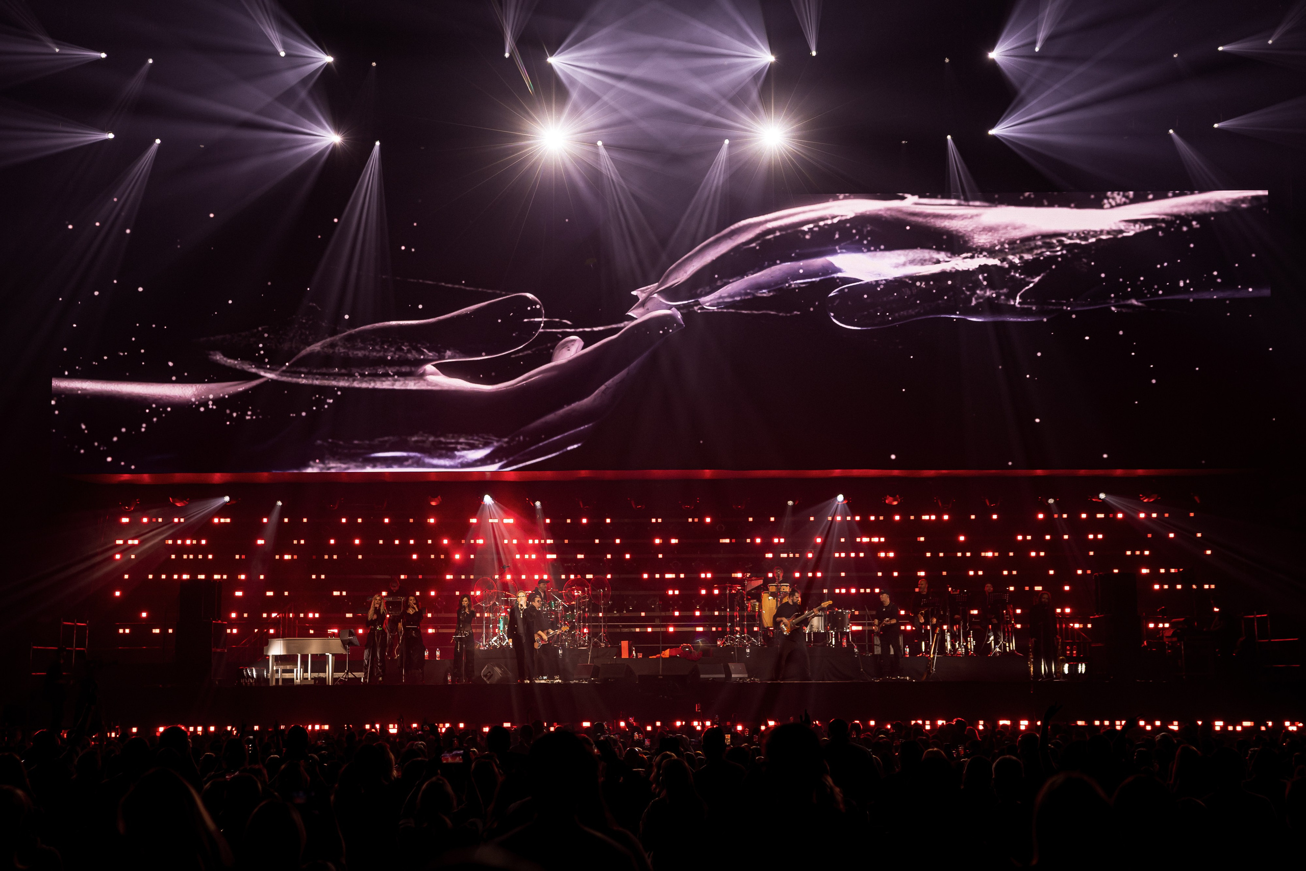 ВЛАДИМИР ПРЕСНЯКОВ / 2024. OOPS