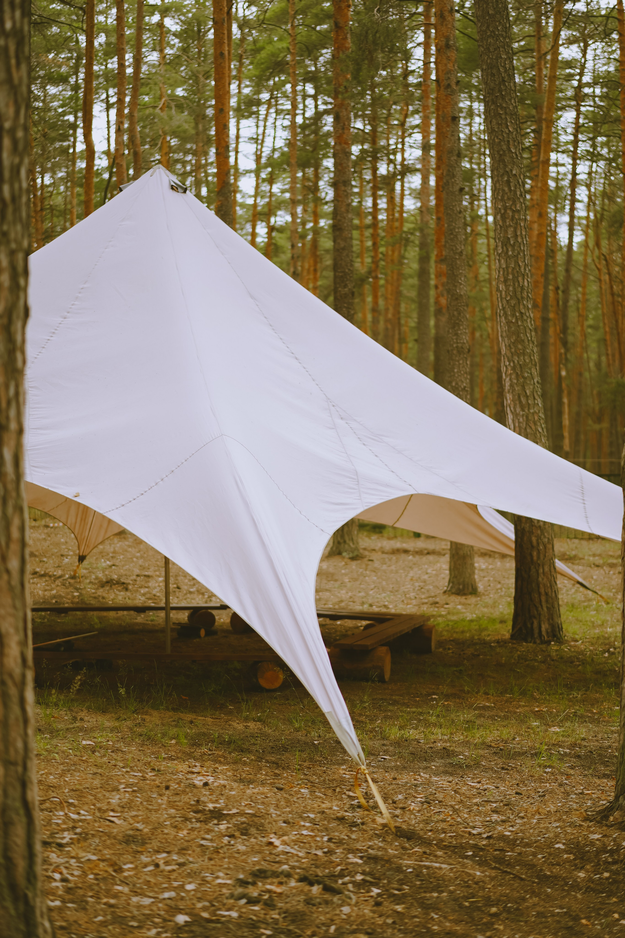 Палаточный форум CAMPot 2025. Фотограф Надежда Погребняк | Рязань | Москва