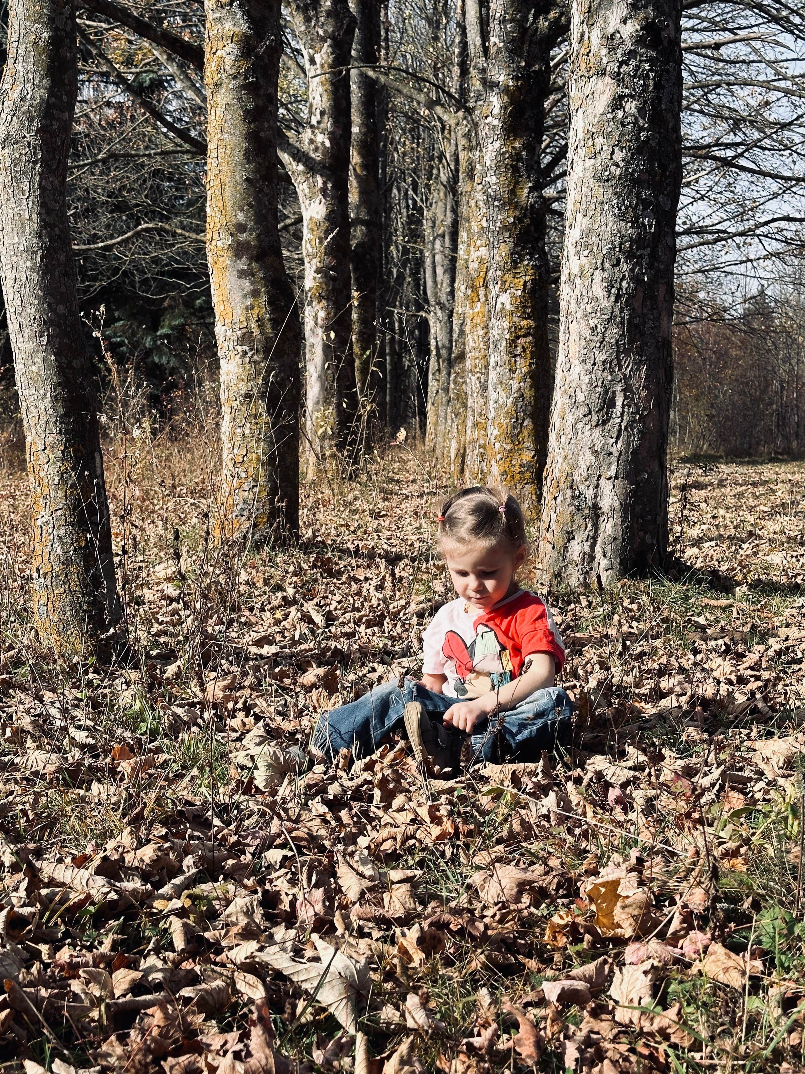 Дети. Смотри, красота!