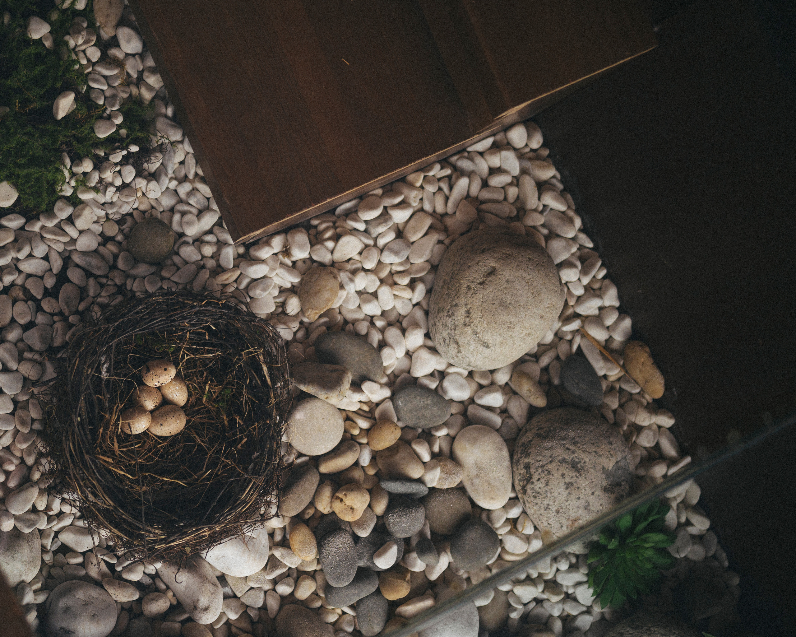 Birds. Свадебный фотограф в Москве Кристина Чехова